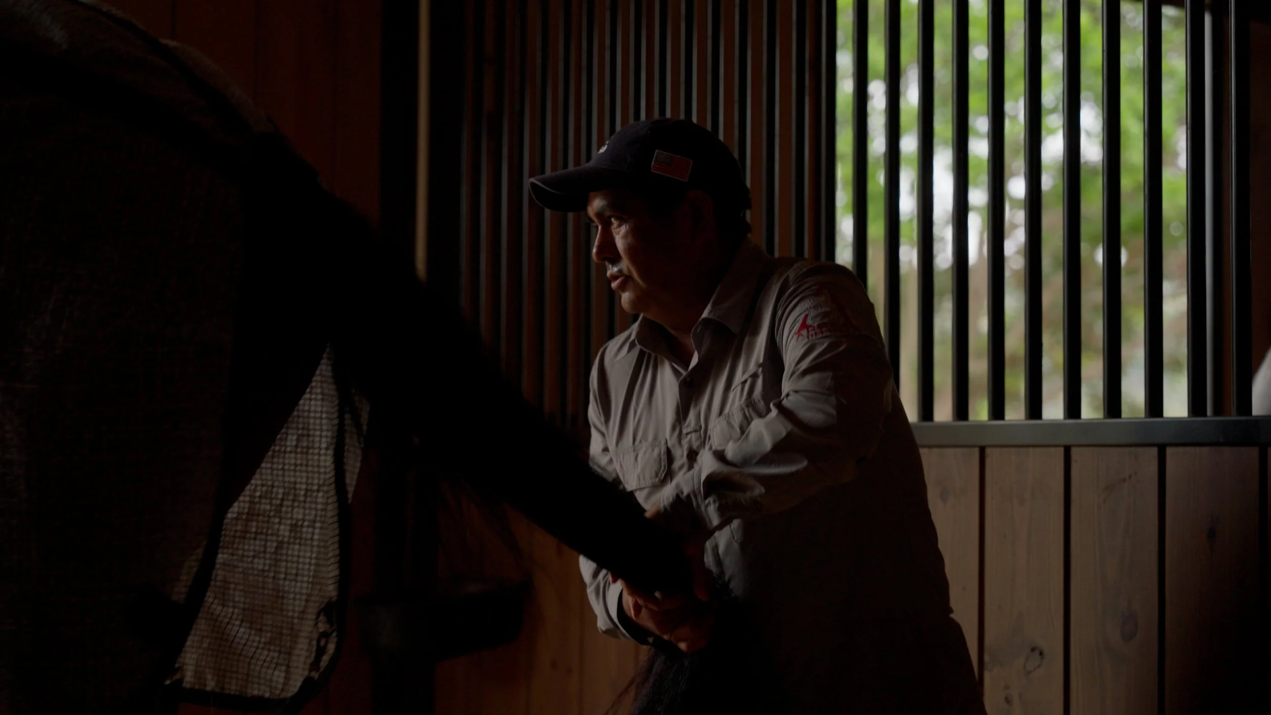 Person inside a stable grooming a horse