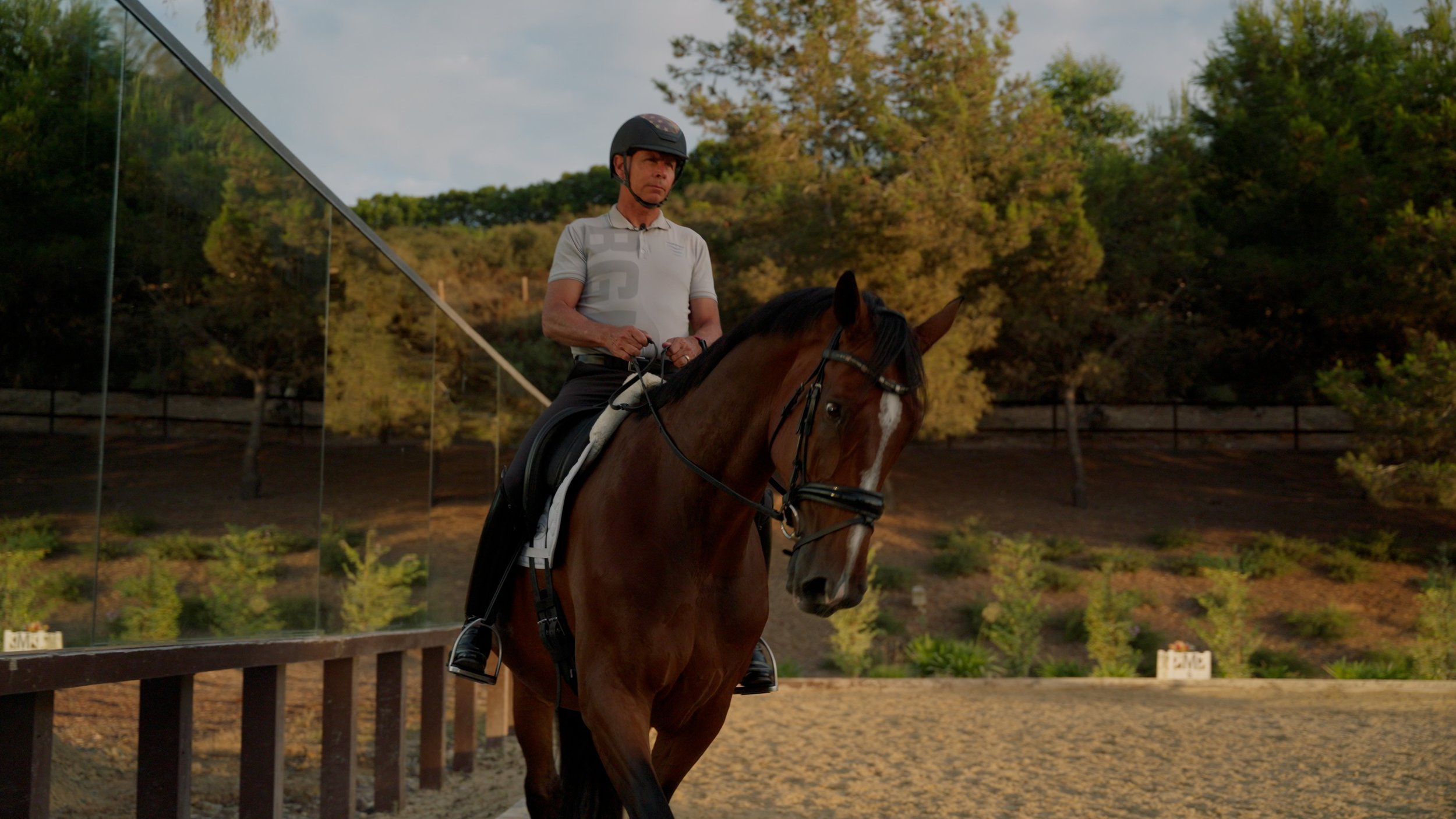 Person riding a horse in an outdoor arena surrounded by trees.