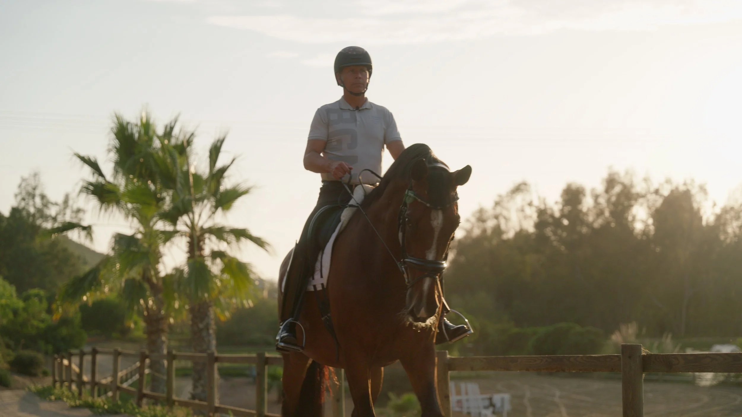 Person riding a horse on a sunny day with palm trees in the background