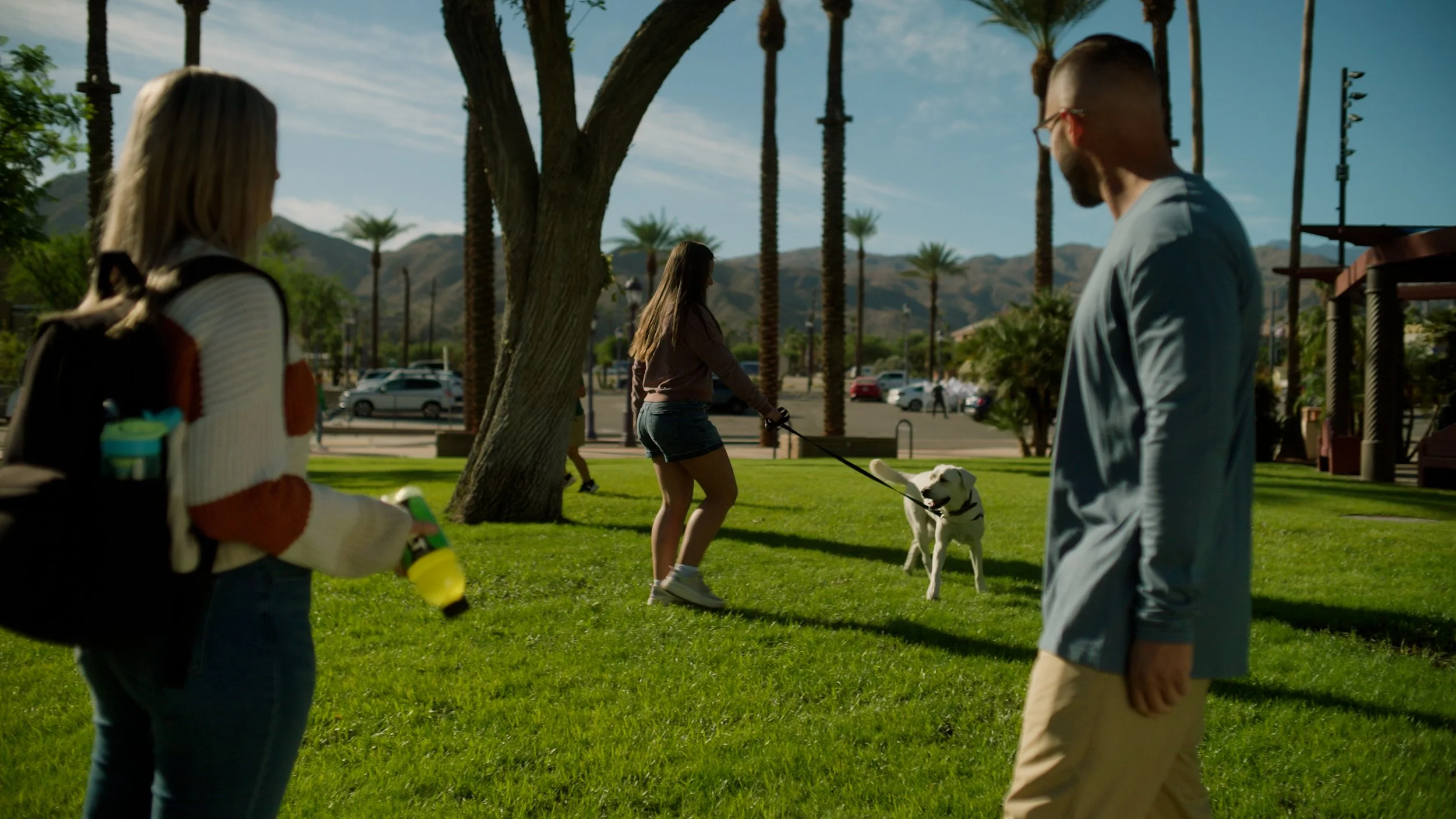 People walking a dog on grass with palm trees and mountains in the background.