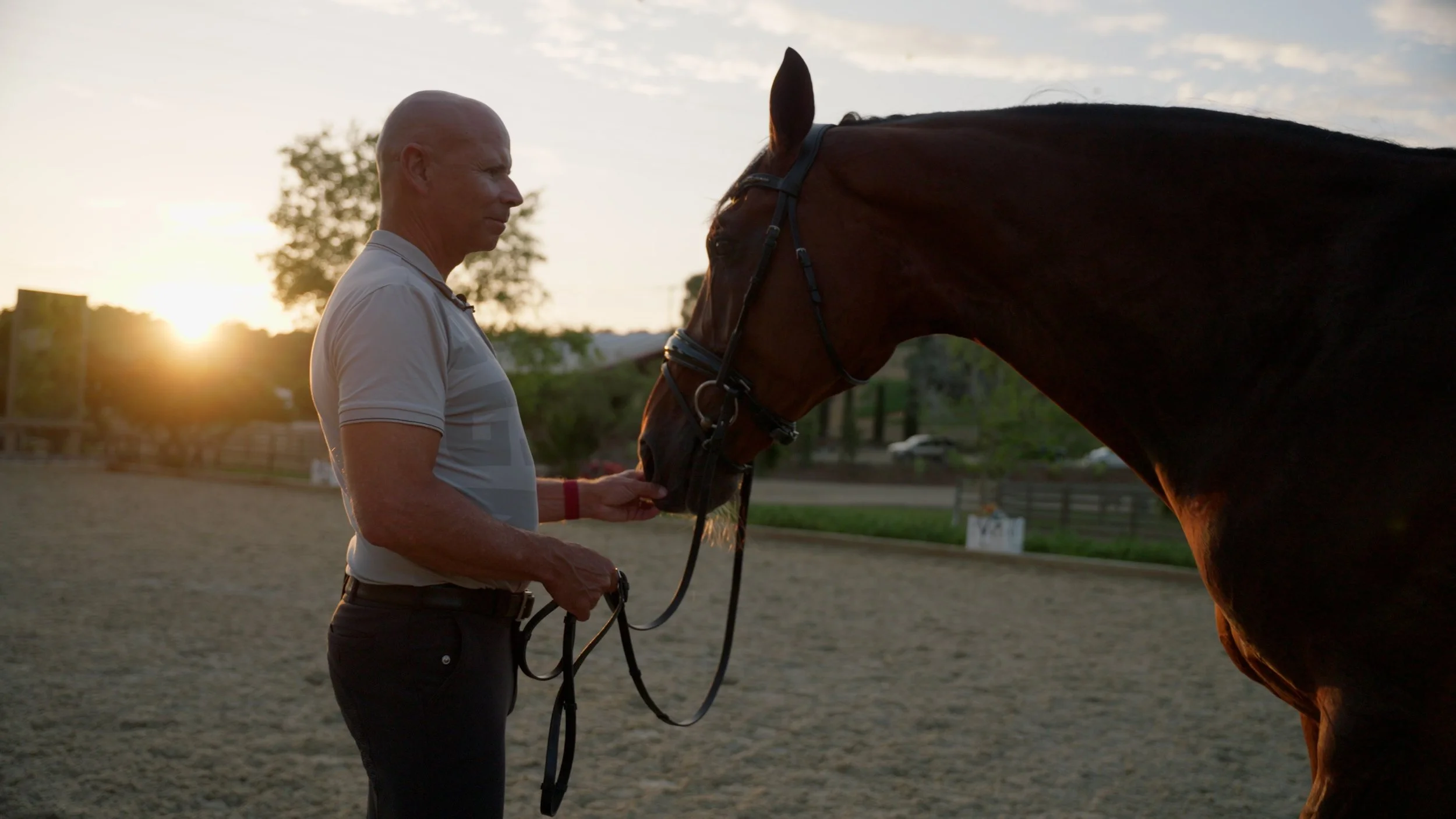 Man standing with a horse at sunset