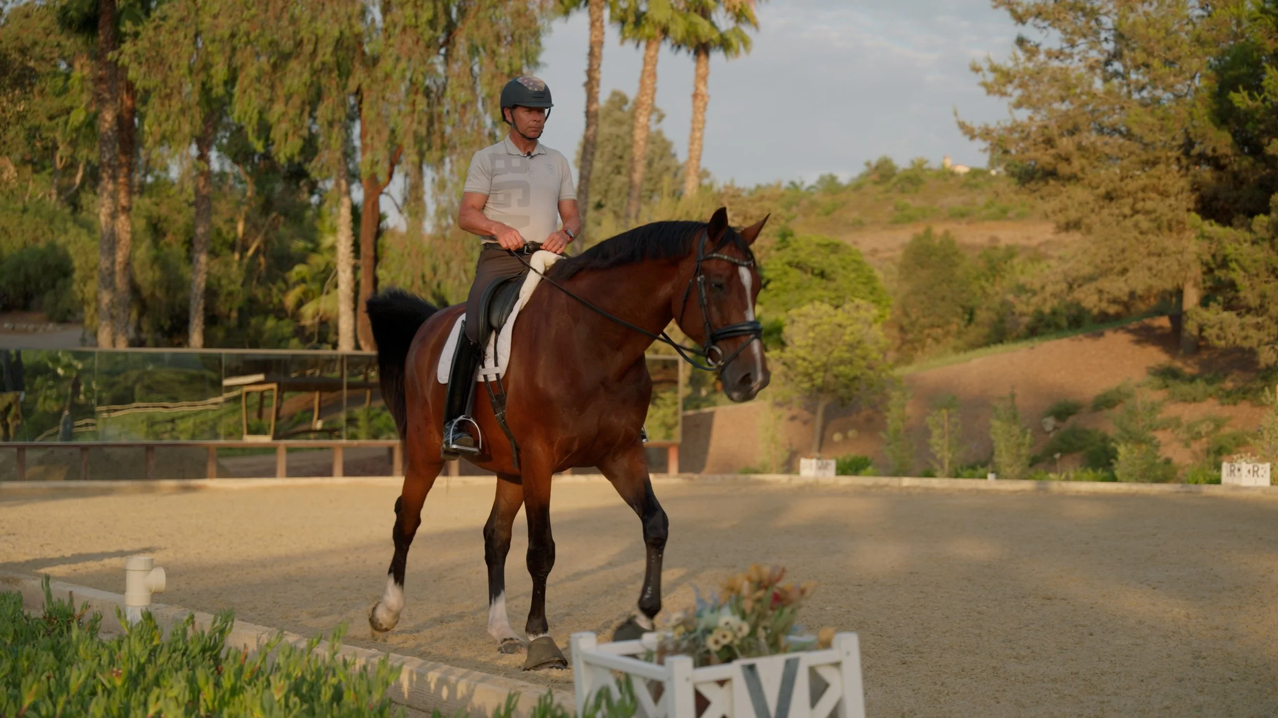 Equestrian rider on brown horse in dressage arena with trees in background