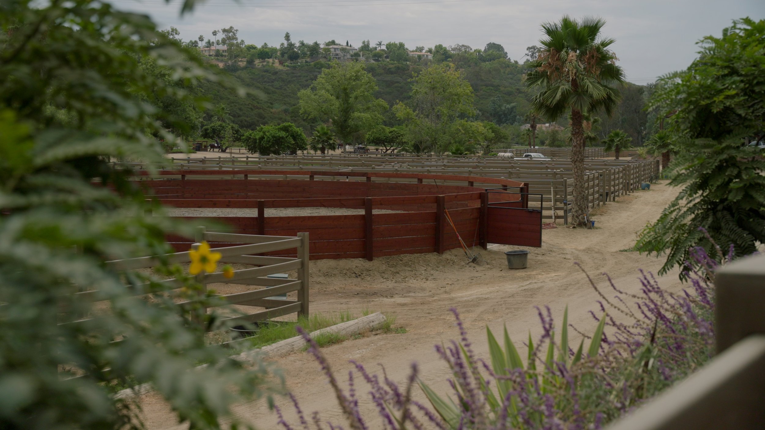 Horse paddock with wooden fence in a rural landscape with trees and mountains in the background.