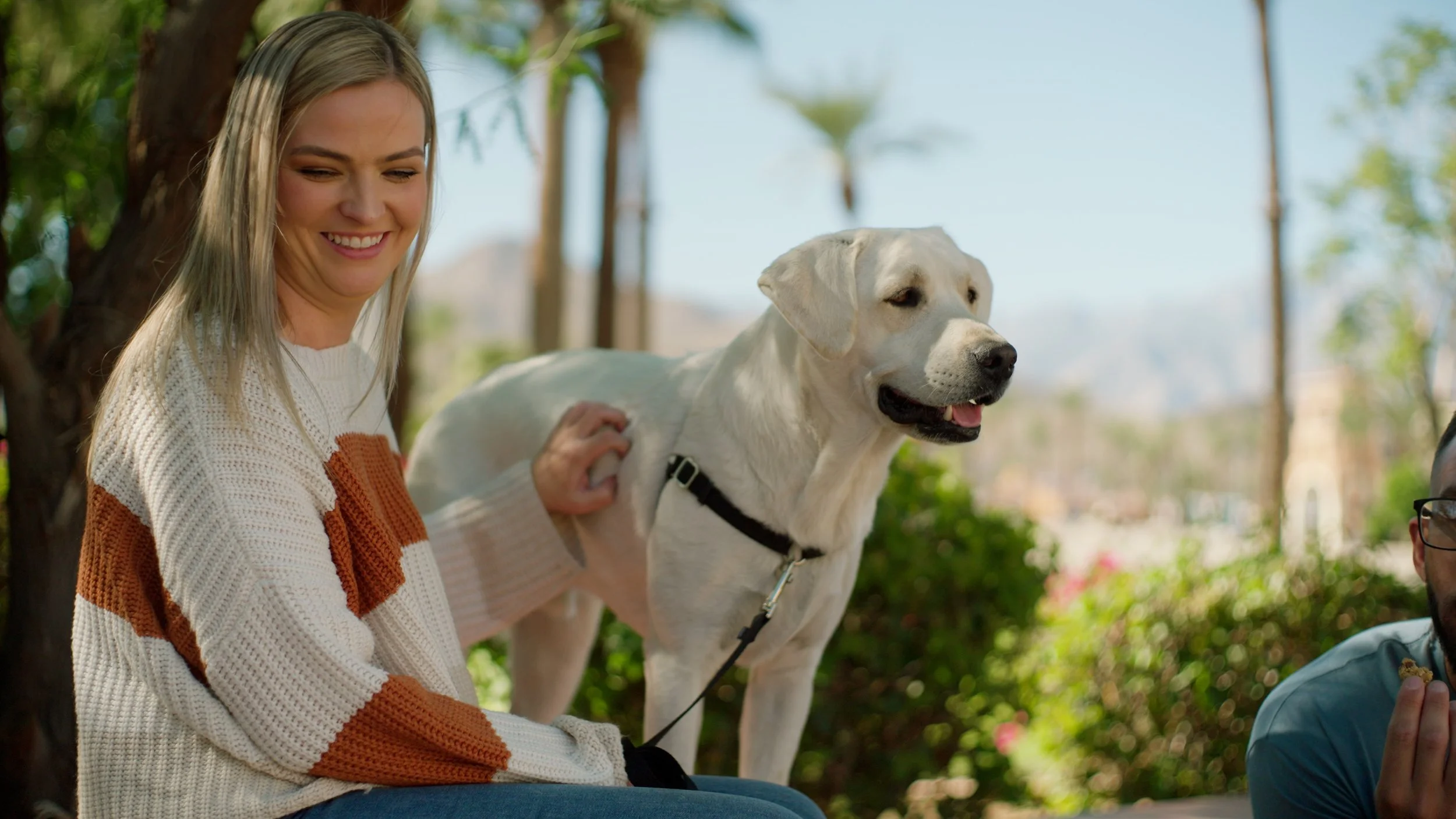 Woman in a sweater petting a Labrador dog outdoors.