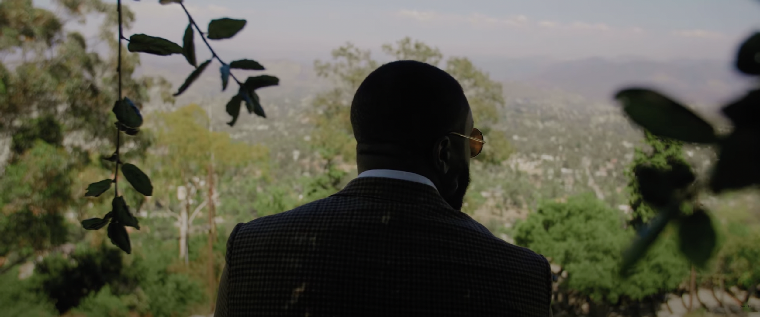Person with sunglasses and suit looking at a scenic landscape with trees and hills.