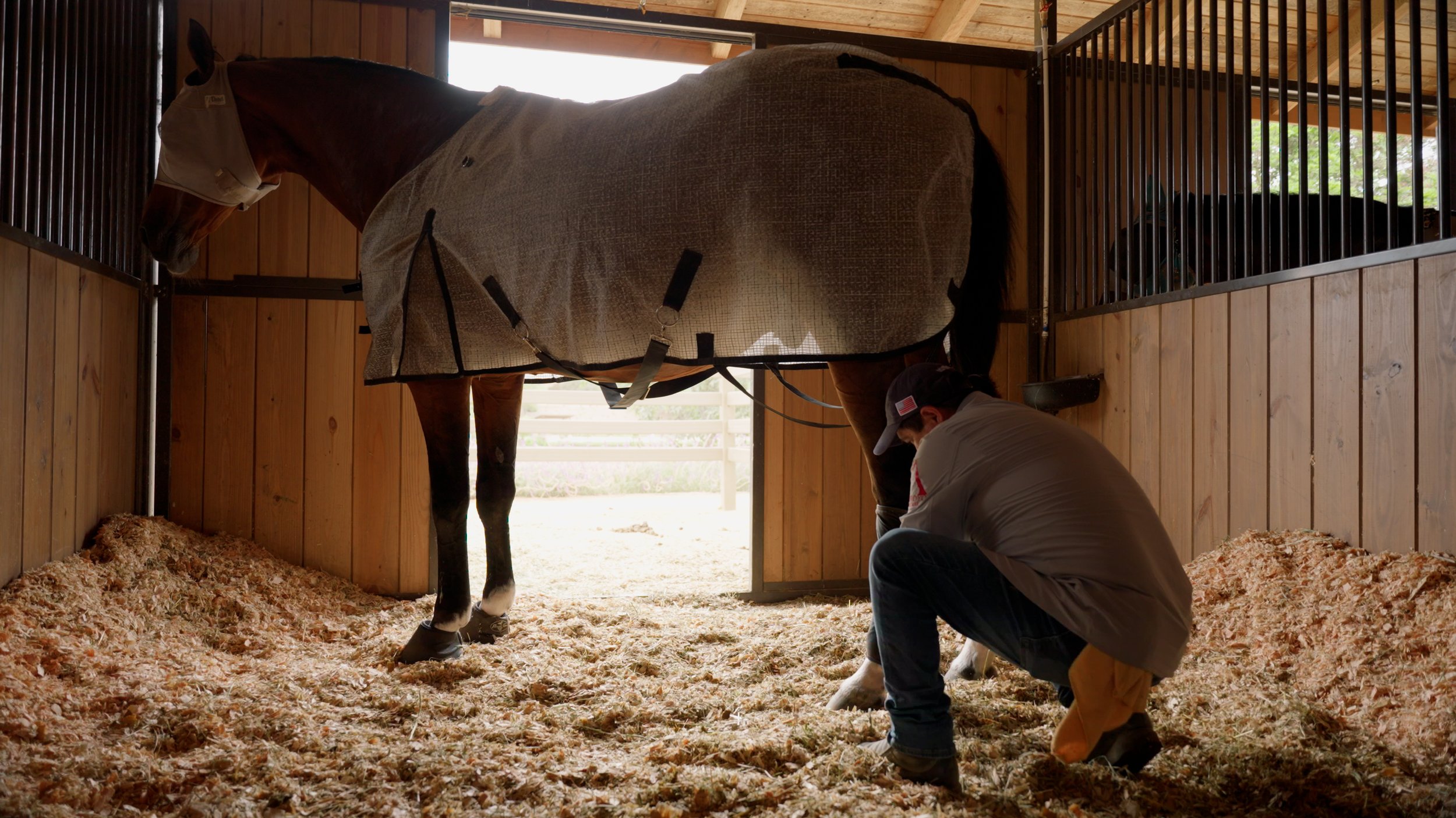 Horse in stable being cared for by a person wearing a gray shirt and cap.