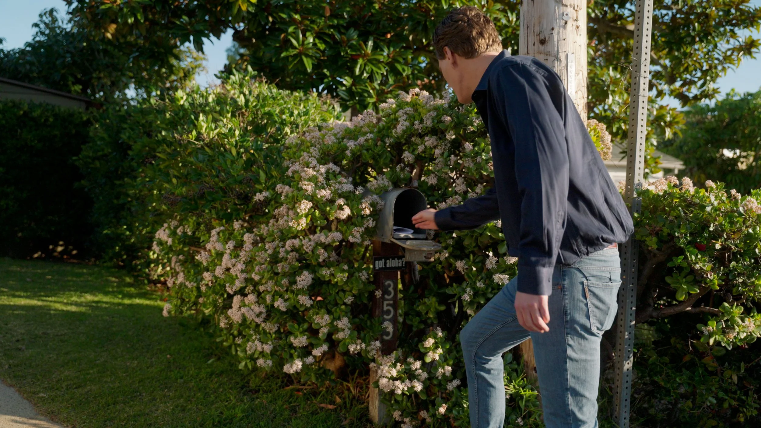 Person collecting mail from a mailbox surrounded by flowering bushes.