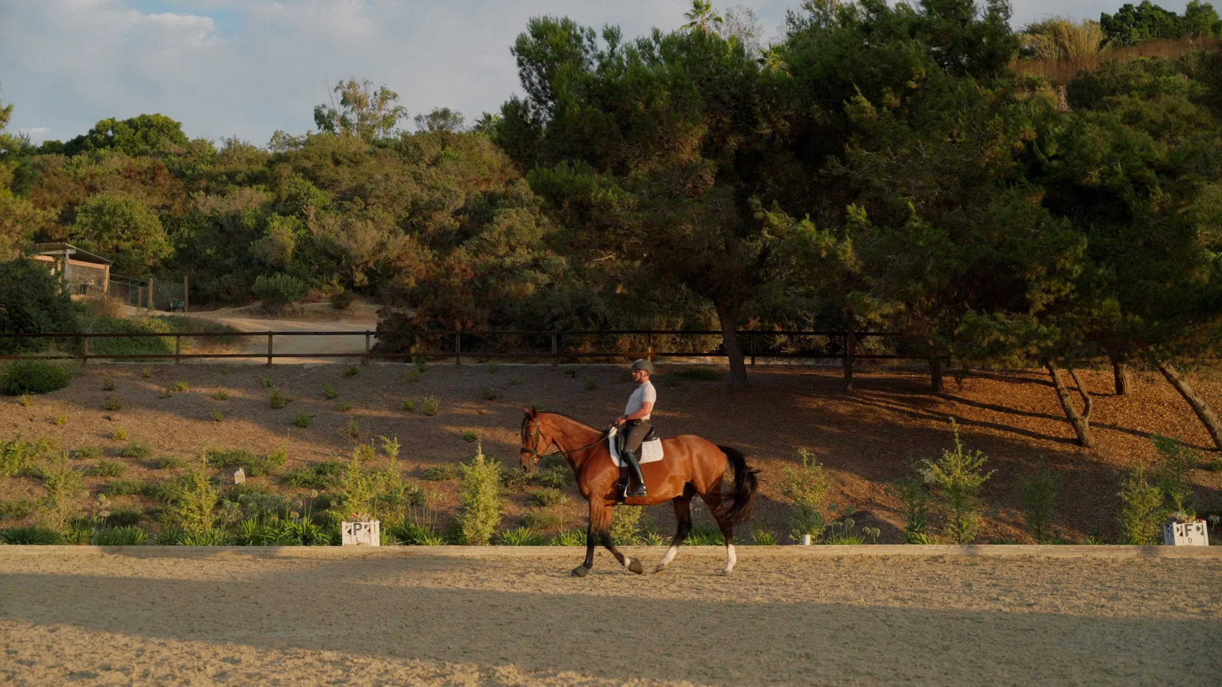 Person riding a brown horse in an outdoor riding arena surrounded by trees and greenery.