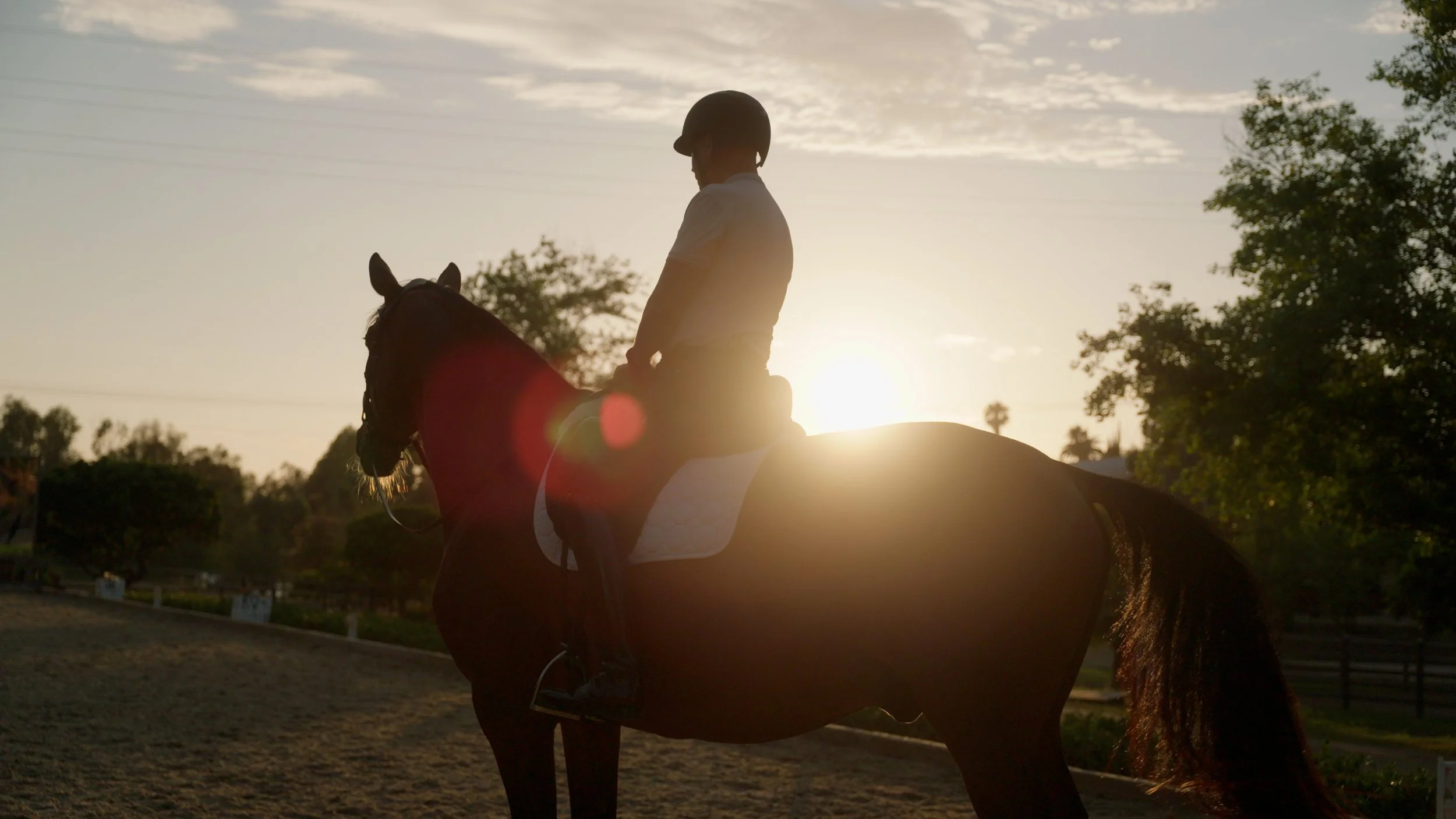 silhouette of person riding a horse at sunset