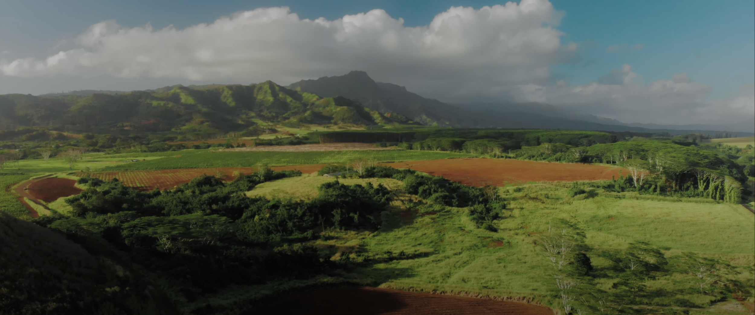 lush green landscape with hills and cloudy sky