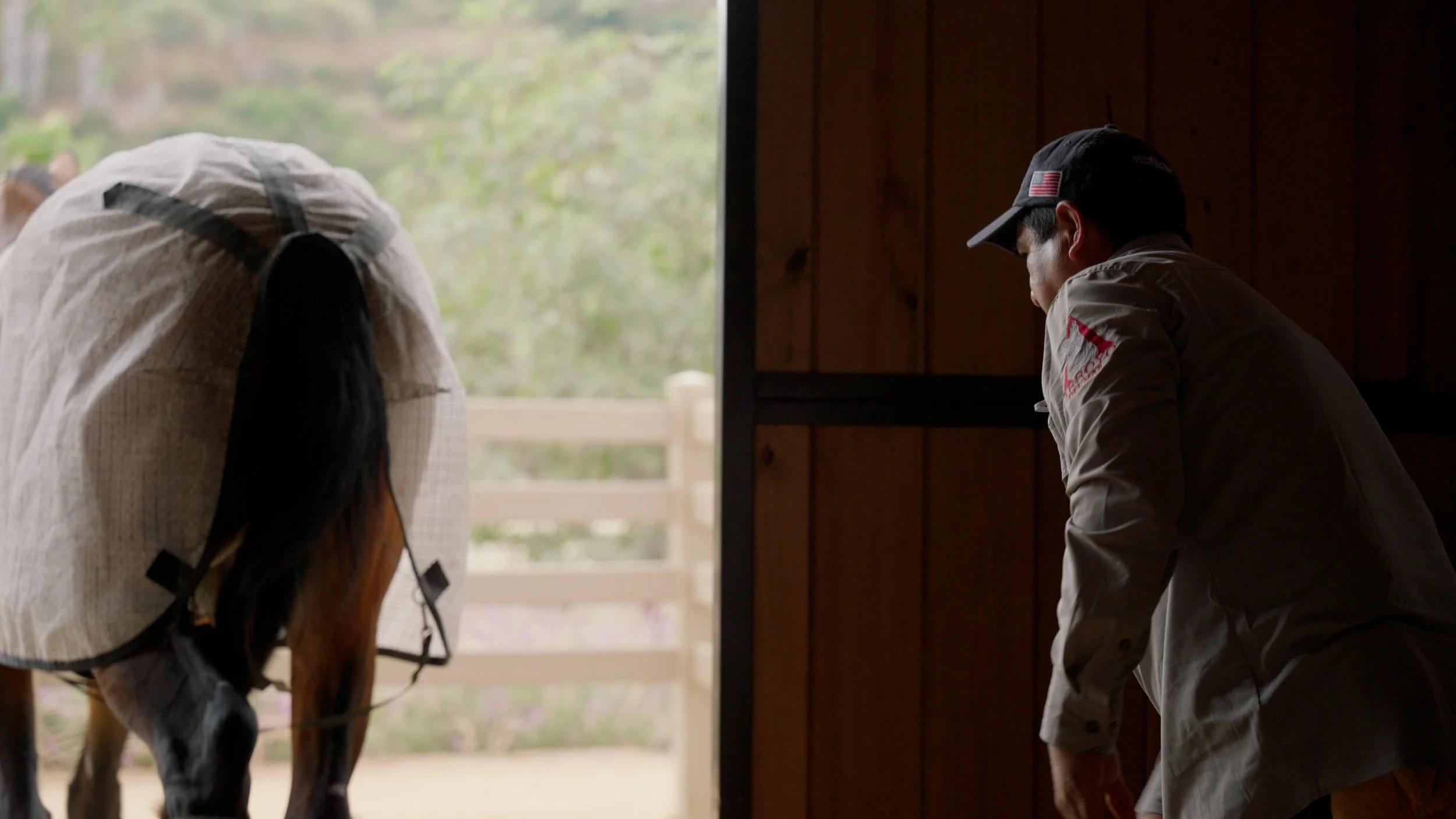 Horse wearing a protective cover and a person in a hat inside a wooden stable with an open door leading to an outdoor area.