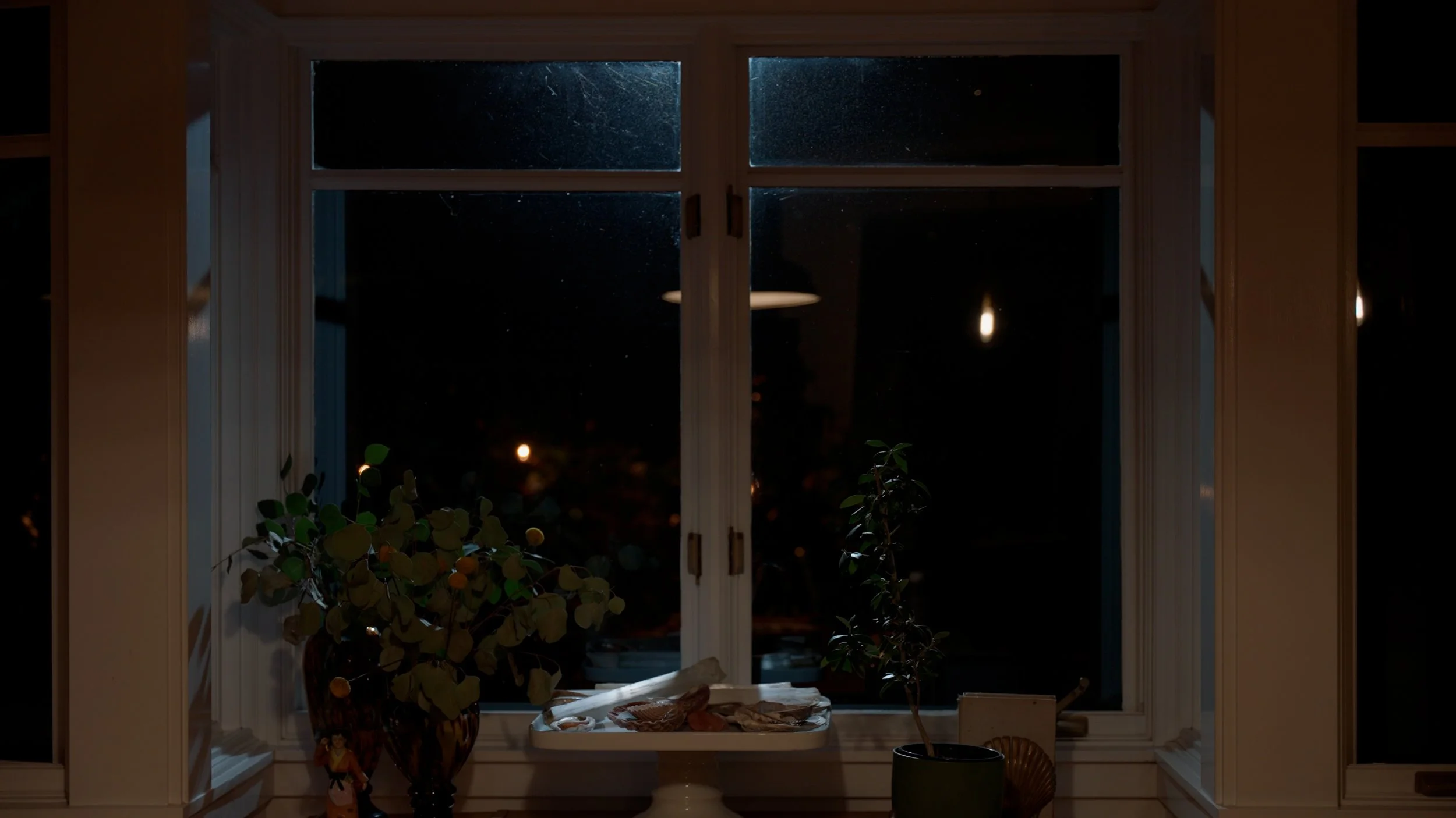 Night view through window with plants and decorative items on the sill