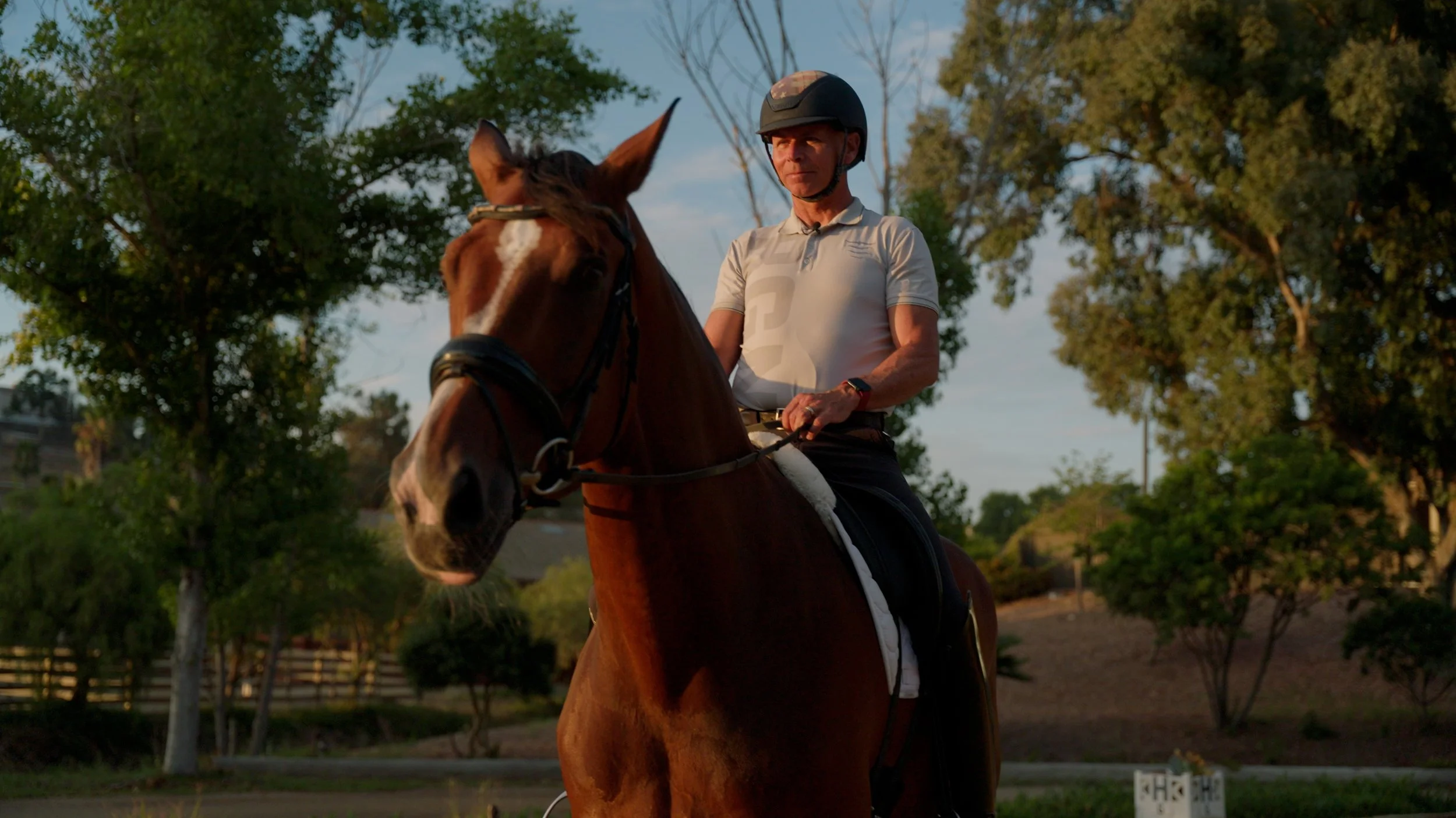 Man riding a brown horse wearing a helmet in a wooded area