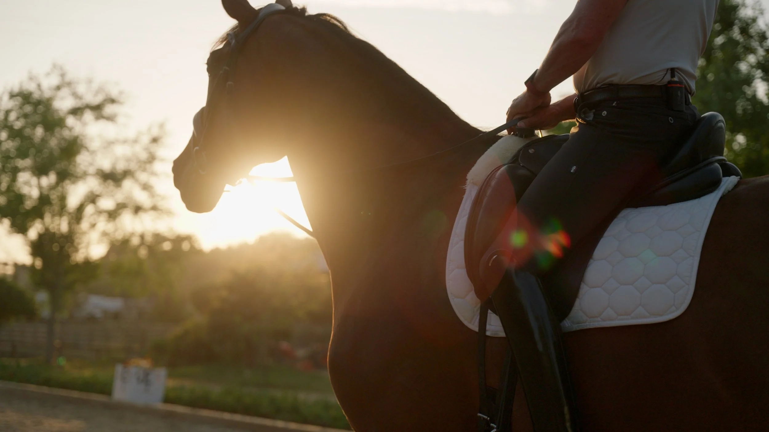 Rider on a horse with sunlight background, highlighting horse's silhouette and saddle.