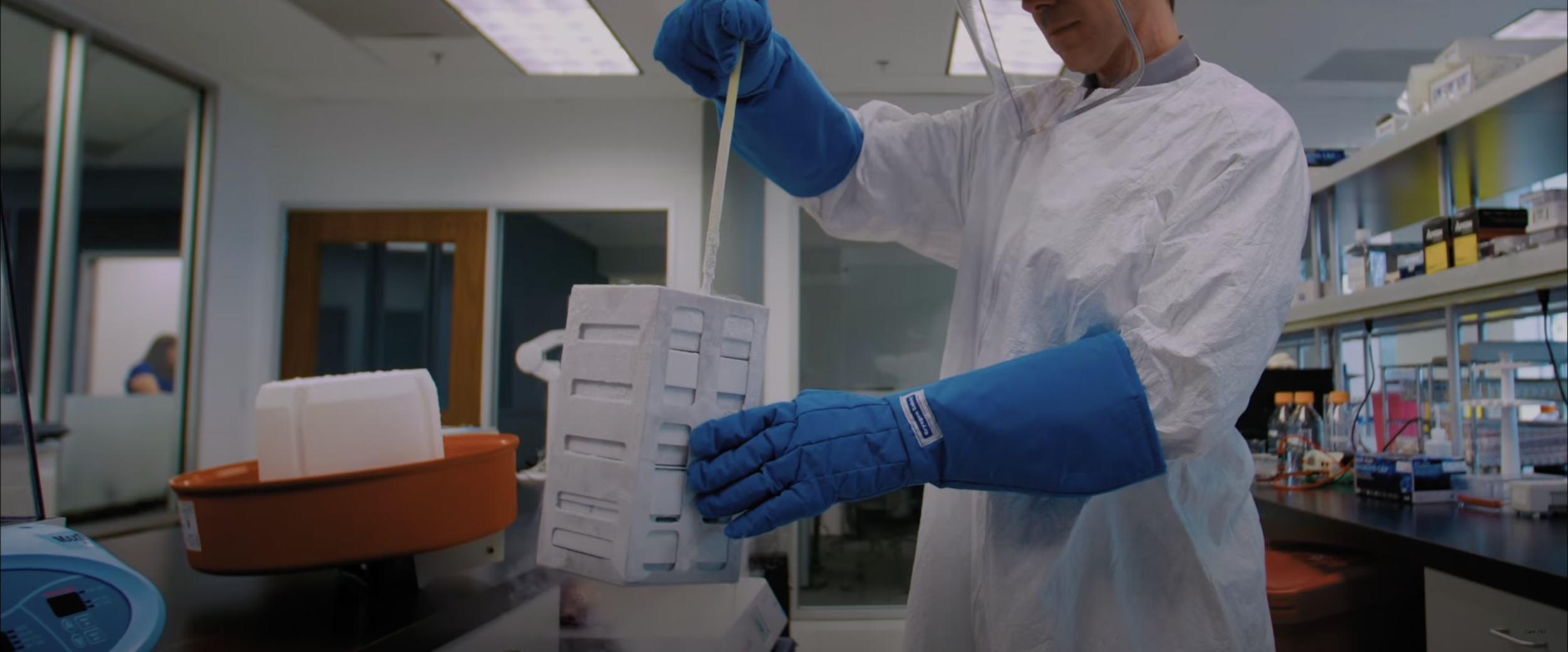 Scientist handling cryogenic samples in a lab