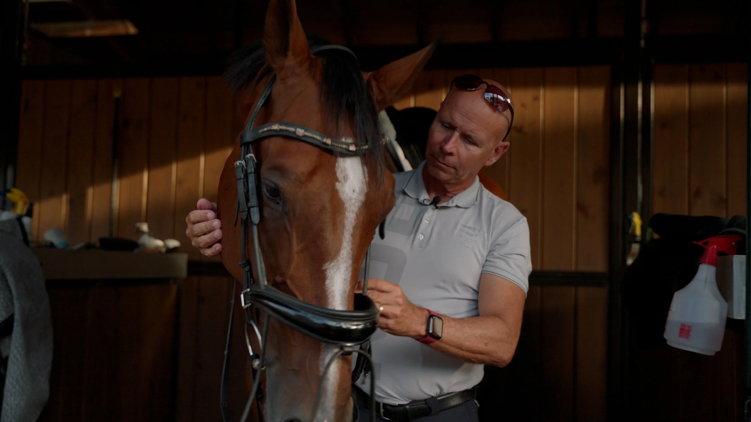Man adjusting bridle on a brown horse in stable