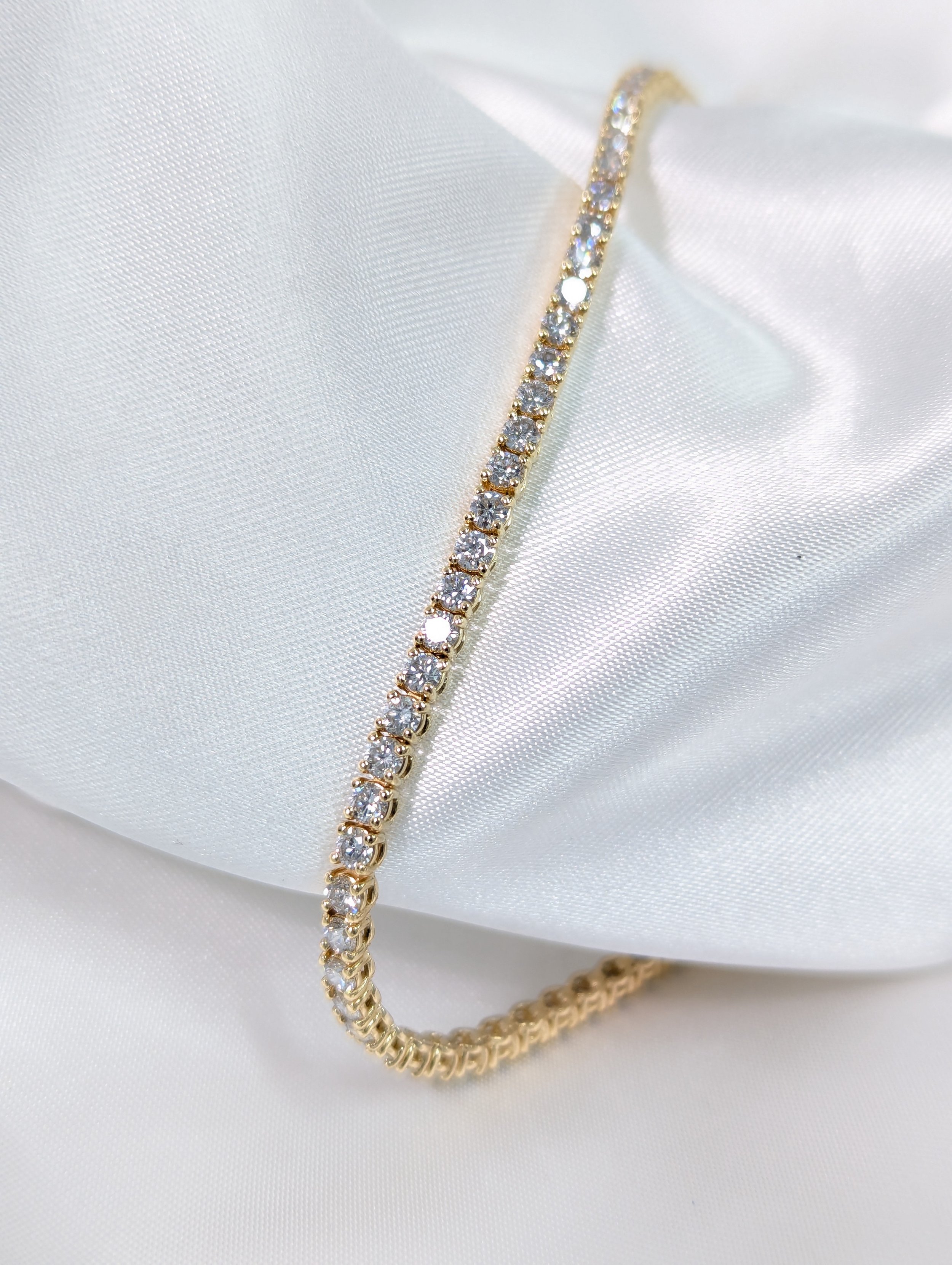 stock yellow gold lab.jpg