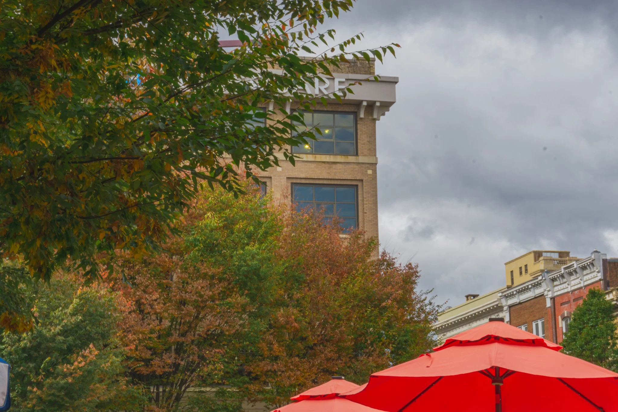 Red umbrellas in an outdoor urban setting with trees and buildings under a cloudy sky.