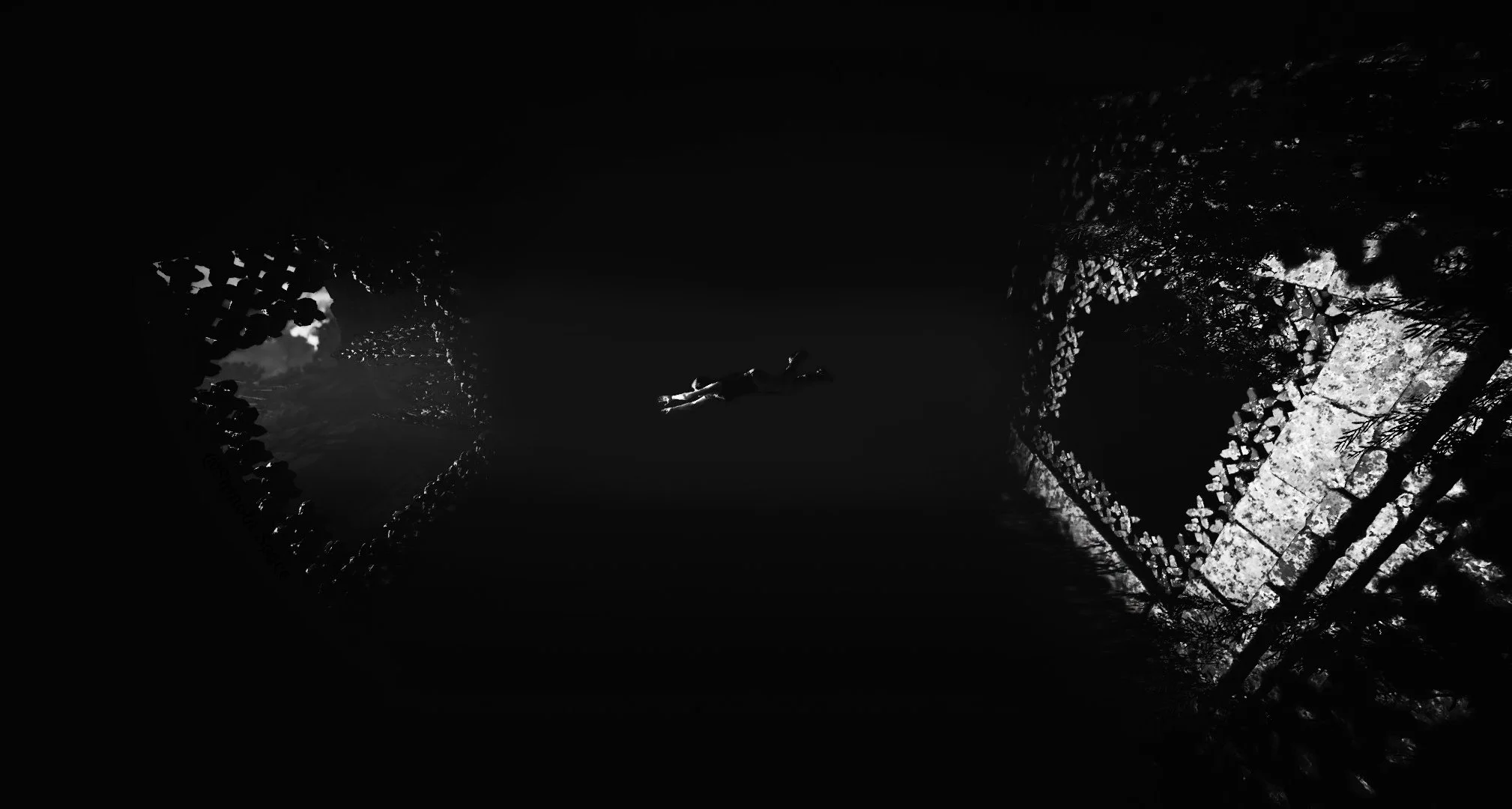 sottr_49945160897_o.jpg
