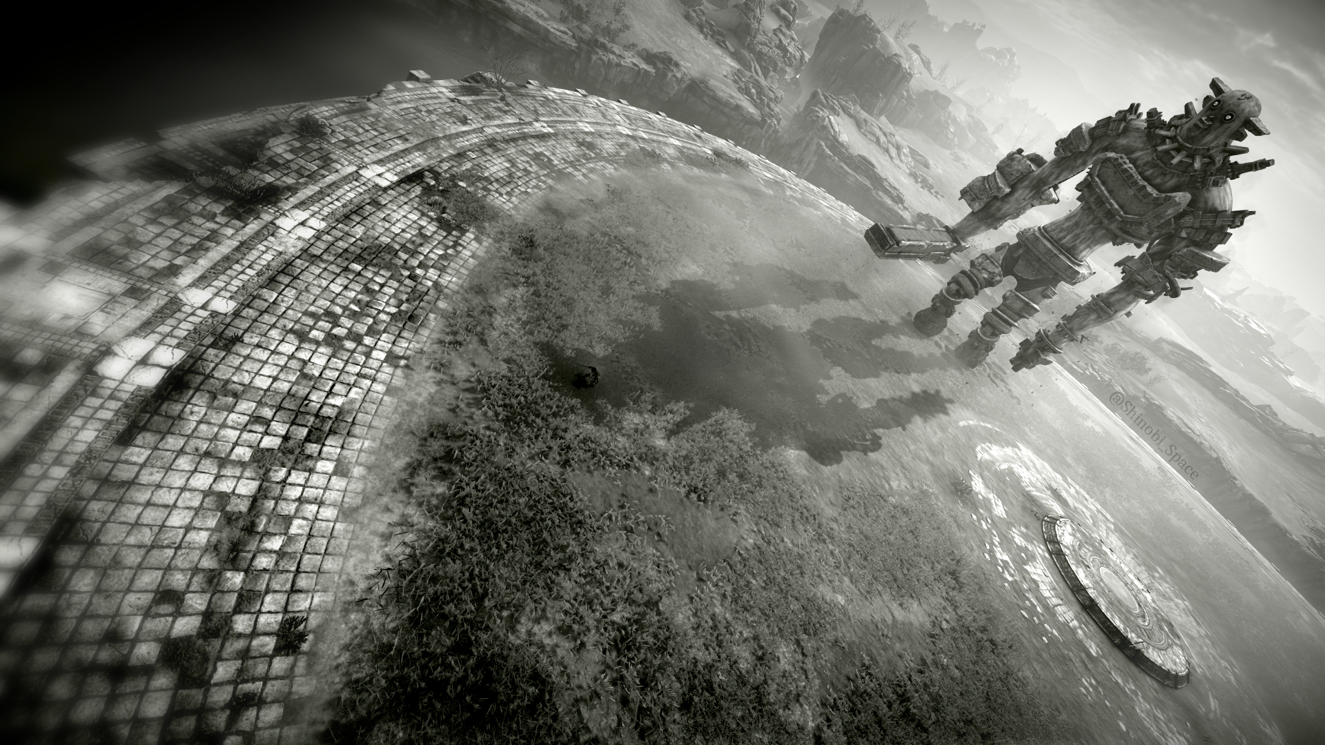 SHADOW OF THE COLOSSUS™_20200327141811.png