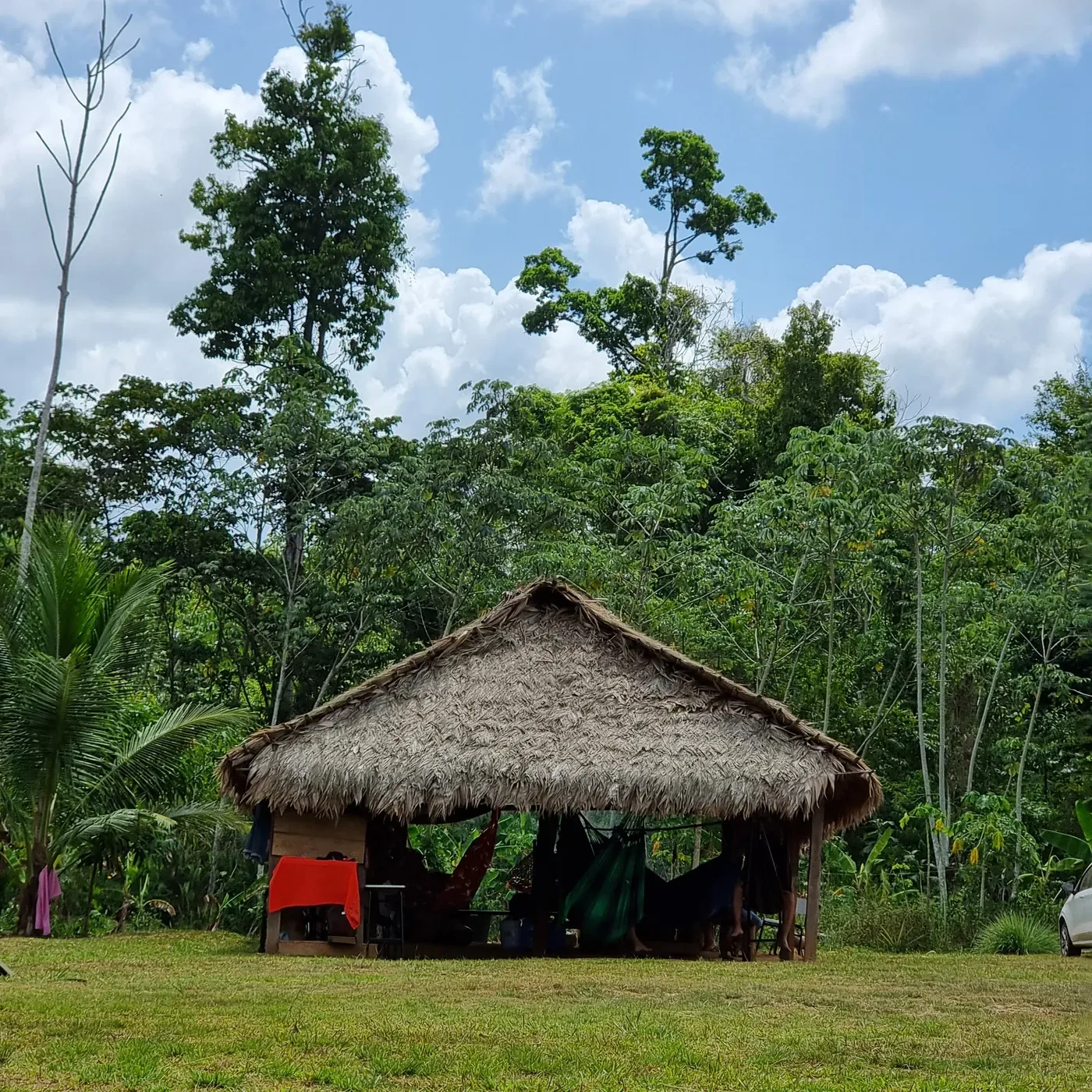Brasiliens Storslåede Natur (4/6) Amazonas