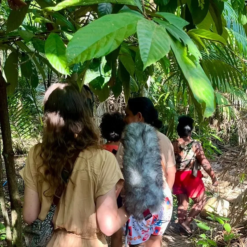 Brasiliens Storslåede Natur (2/6) Babassuskoven
