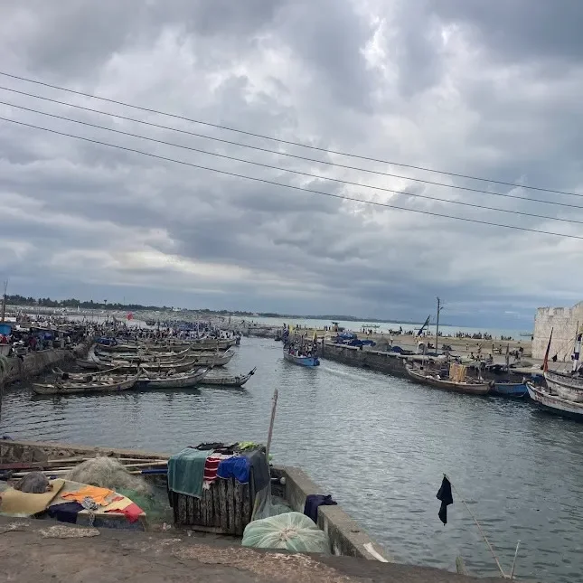 Ikke flere Fisk i Havet (4/5) Dynamit-fiskeri m.m.