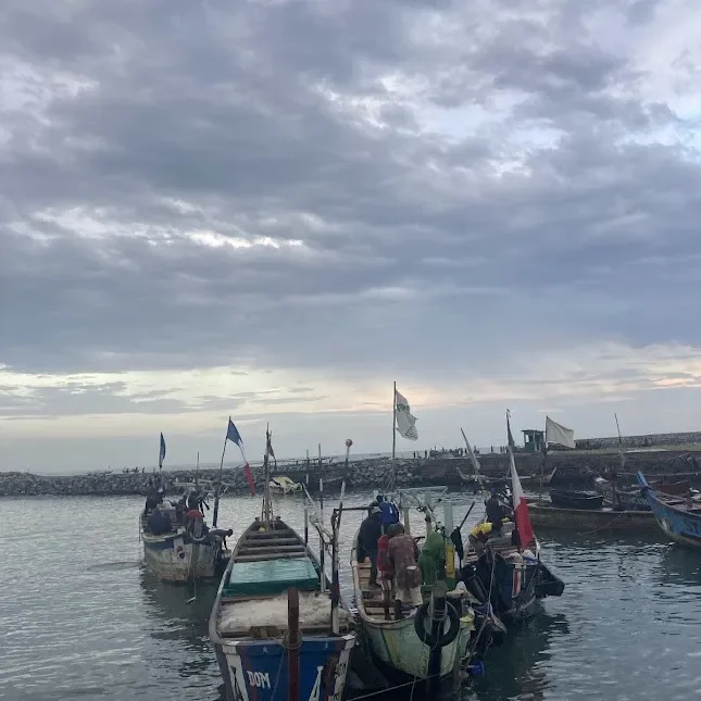 Ikke flere Fisk i havet (5/5) -Ulovlig Trawl skraber Guineabugten for de sidste Fisk