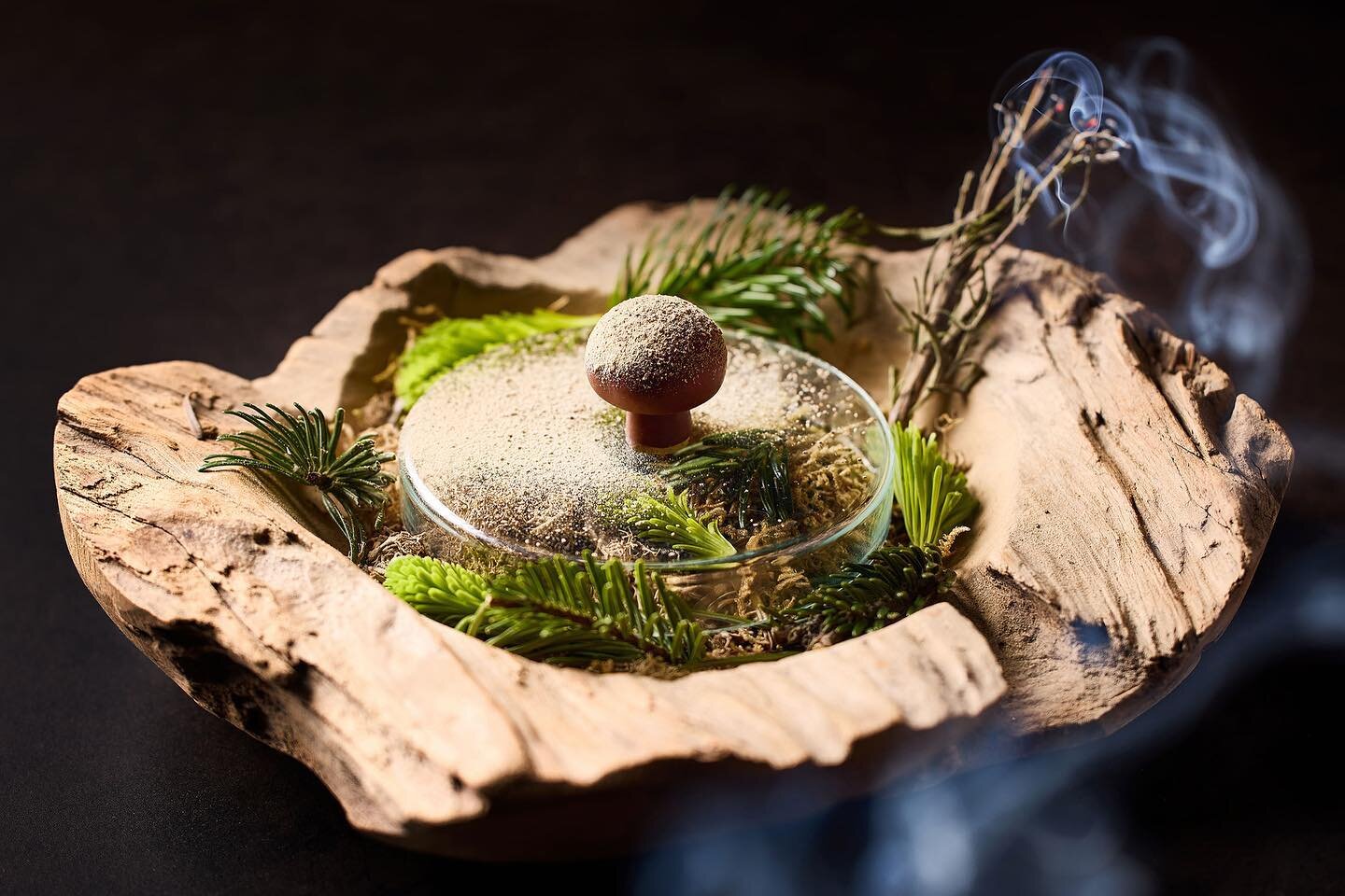 Chocolate mushroom by Chef @edwinmenue33 
Shot at @cuines33 for @tablefever.be