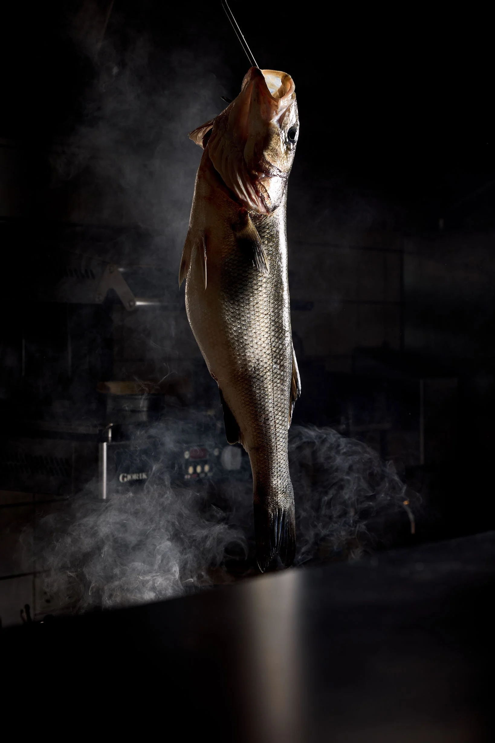 Tom-Corremans_2026-03-02 Arashi Cadzand_12.jpeg