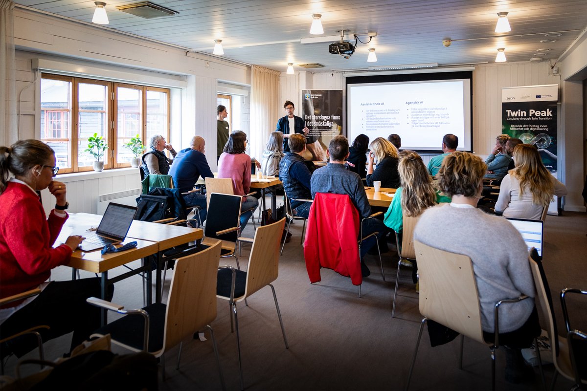 AI-verkstad i Bergs kommun