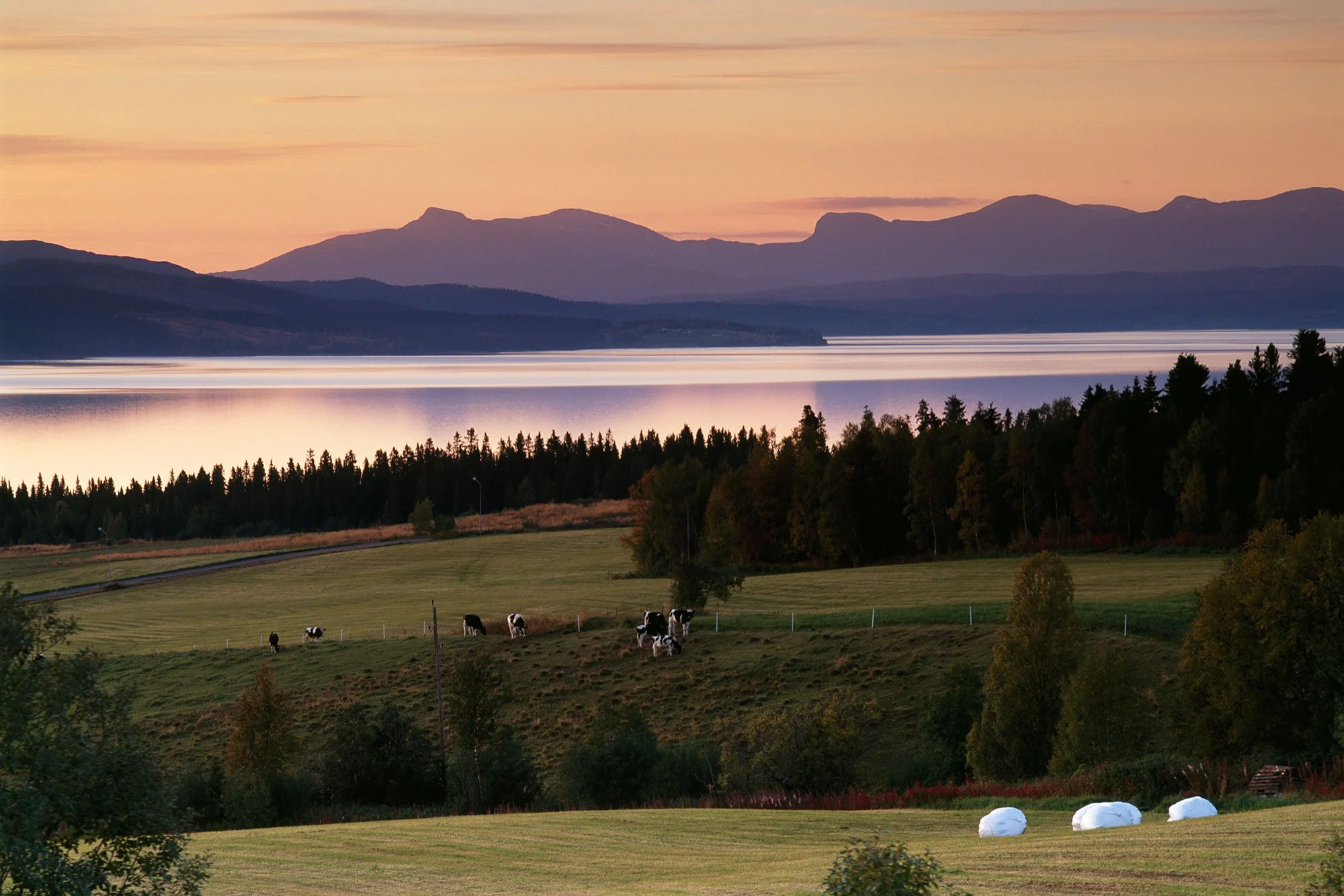 Bron Innovation beviljas finansiering för nytt projekt – ska stärka digitalisering och tillväxt i Jämtland Härjedalen