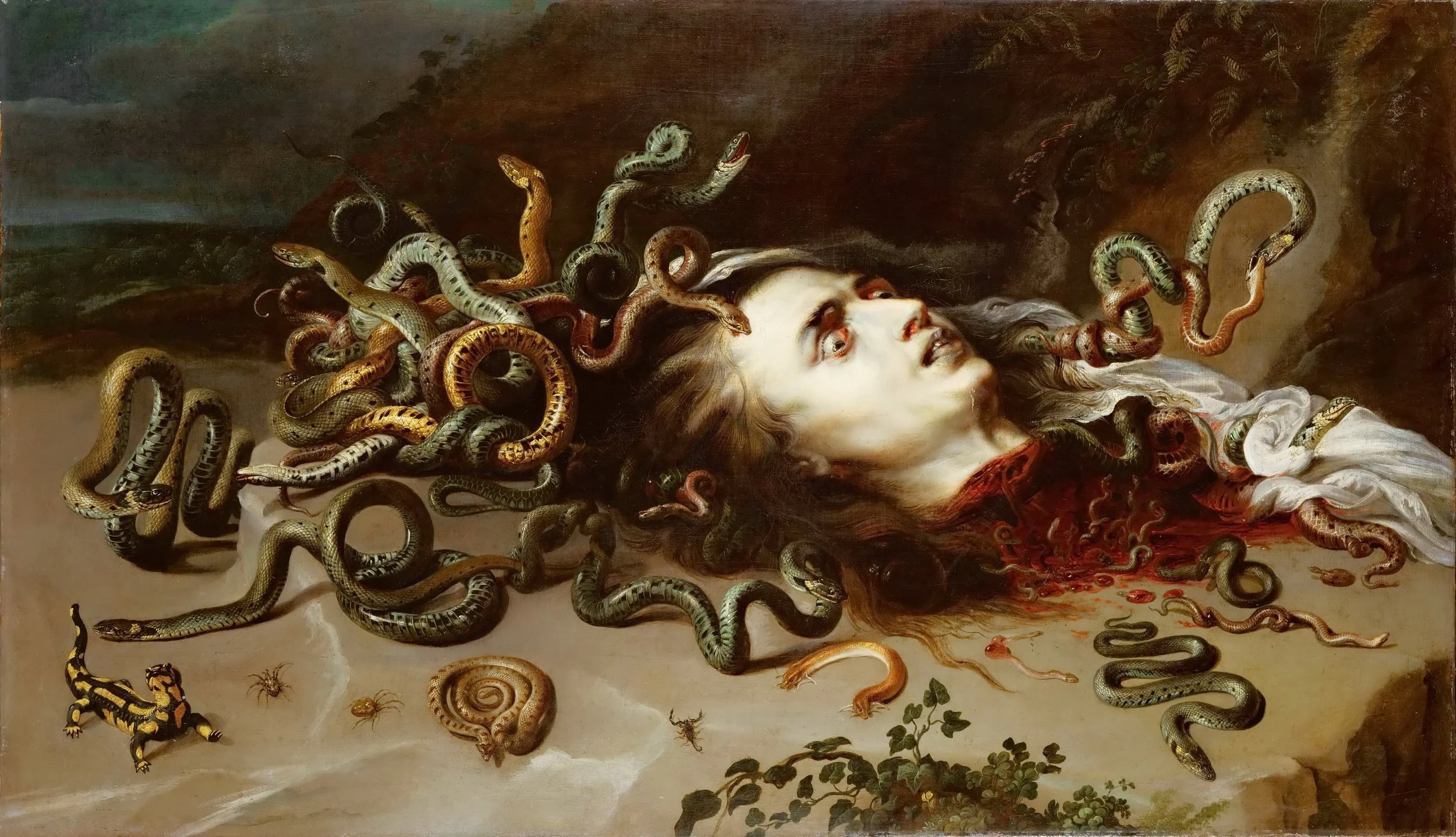 Rubens_Medusa.jpeg