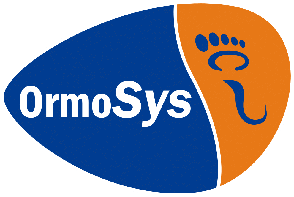 Logo_OrmoSys.png