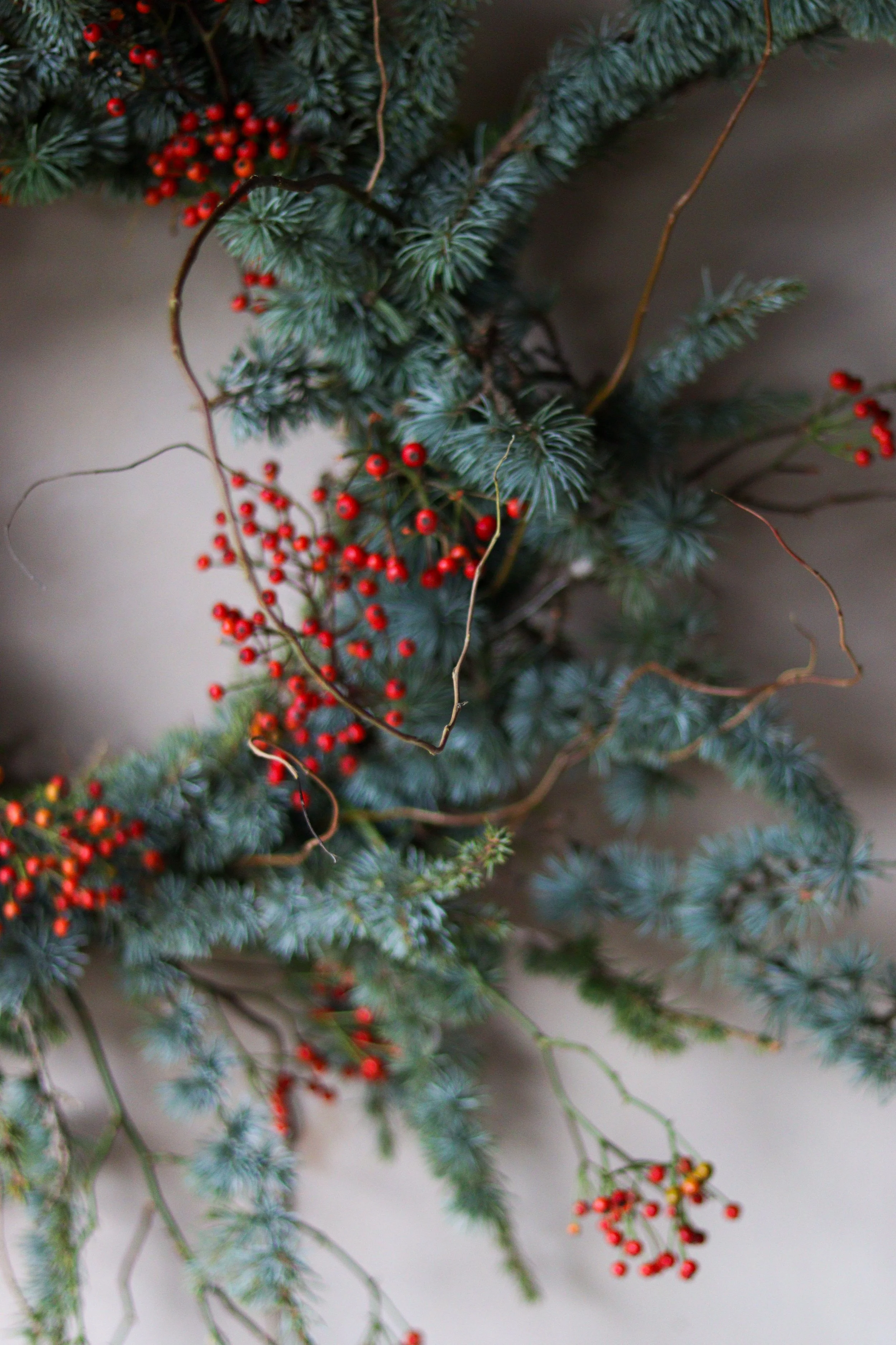 Red berries on a christmas wreath