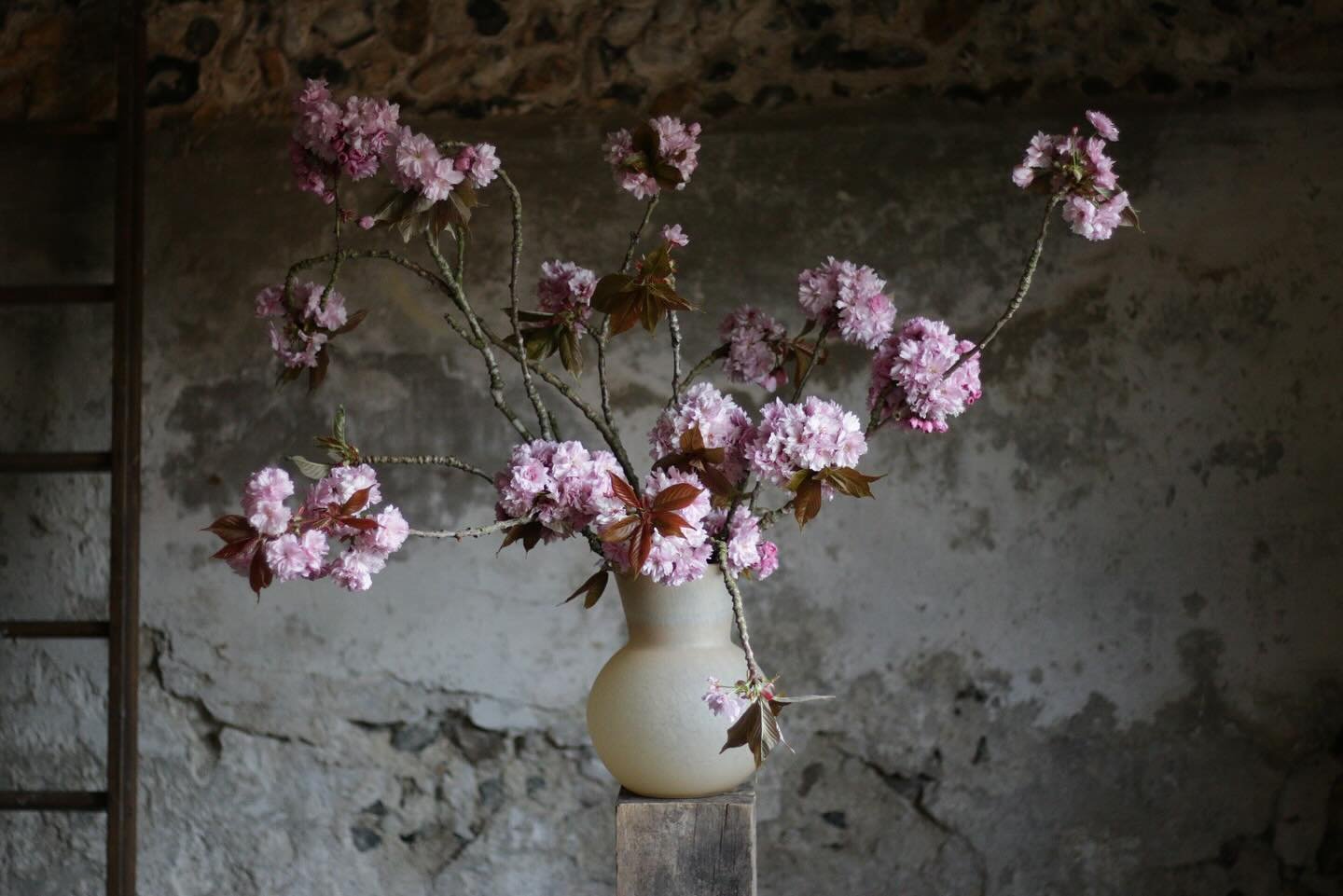 Pink cherry blossom. Let me count the ways I love you. 

Number 1. Artfully arranged by me in a big @anthropologie vase and beautifully photographed by @annasflowerfarm 

#cherryblossom #seasonled #attheuntamededge #gatherandcreate #locallygrown #for
