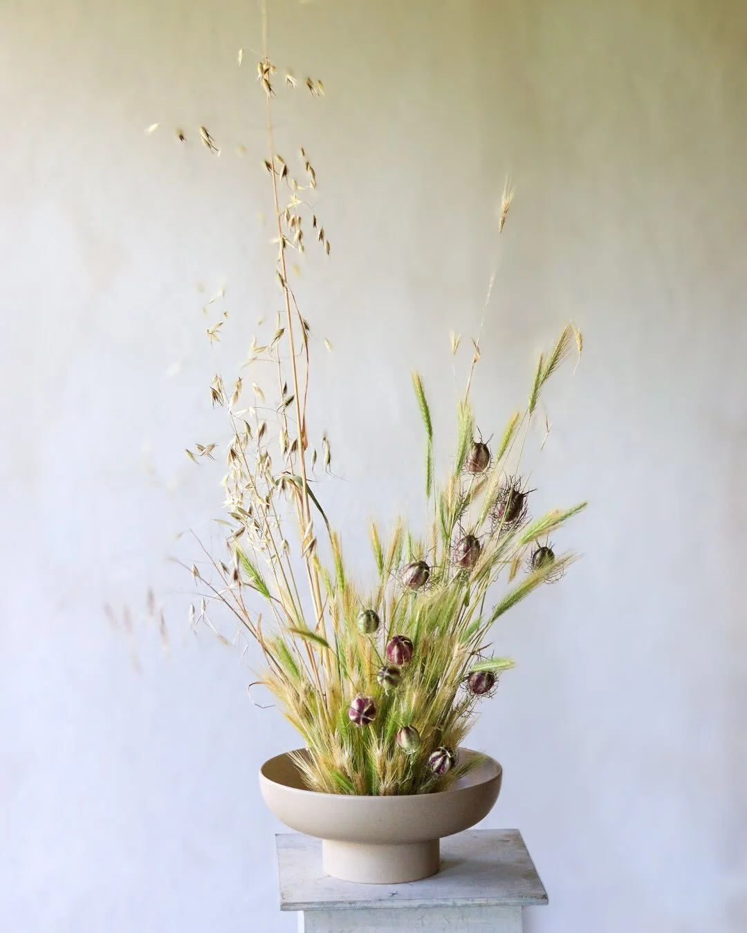 Embracing the dried edges that a heatwave brings. 

Dried arrangement for the bar @provenancekitchen 

Squirrel tail grass, wild oats and nigella. 

#julyflowers #driedflowers #embracingtheheatwave #seasonledfloristry #seasonledfloraldesign #seasonal