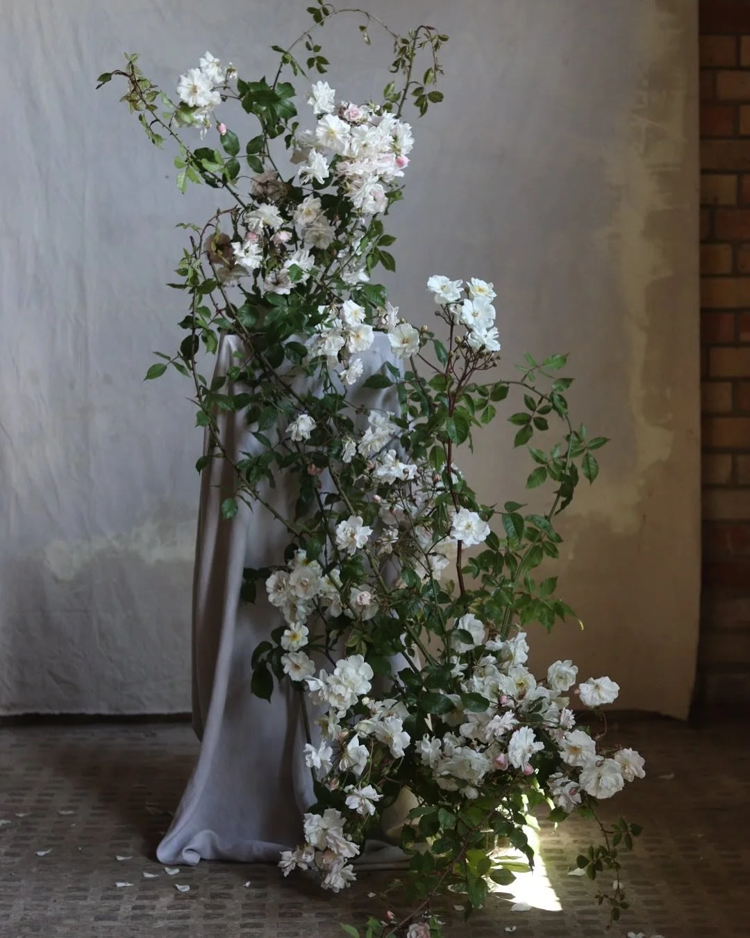 Tumbling roses. 

Is there anything that symbolizes June more? 

From a studio session with @willowbridge_designs at @schoolofsustainablefloristry 

#seasonledfloristry #attheuntamededge #seasonalandsustainable #locallygrownflowers #juneflowers #rose