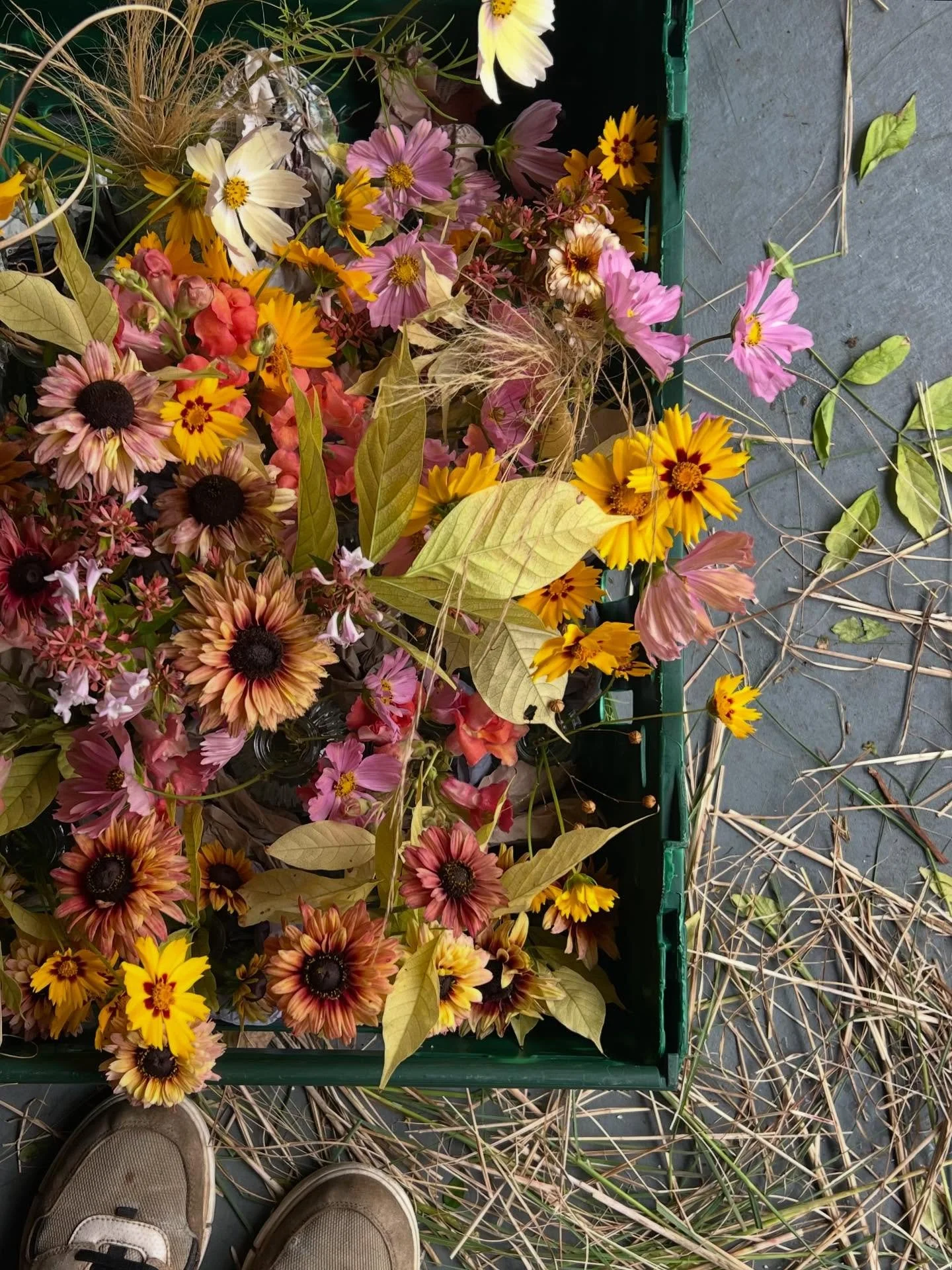 I never used to love autumn. I always felt this sense of foreboding as the summer months came to an end. 

It&rsquo;s highly likely that this was to do with my sense of dread at going back in to &lsquo;the system&rsquo; of school for another year&hel