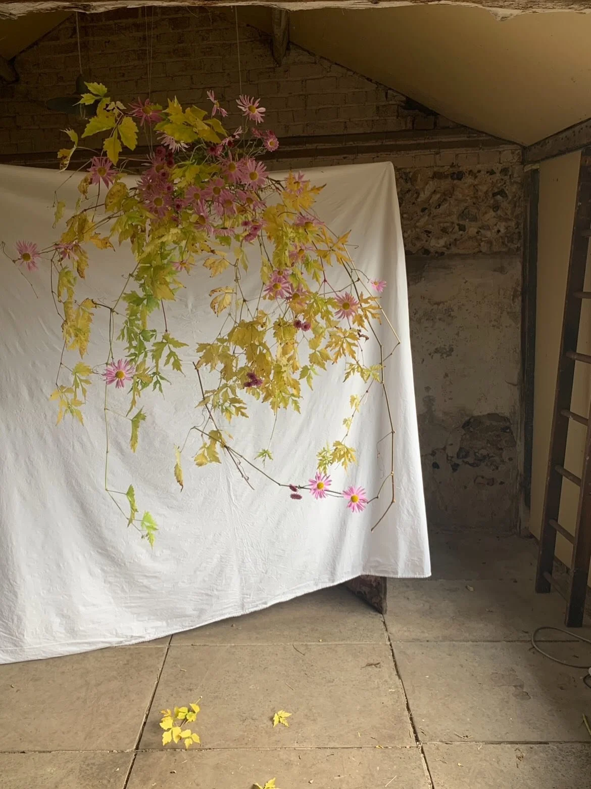Chartreuse and pink. A colour combination I will never get over. 

Chrysanthemum and &lsquo;thug vine&rsquo; (5 years on and I still don&rsquo;t actually know what it is called&hellip;)

November 2020 in the studio @annasflowerfarm (image 2 captured 