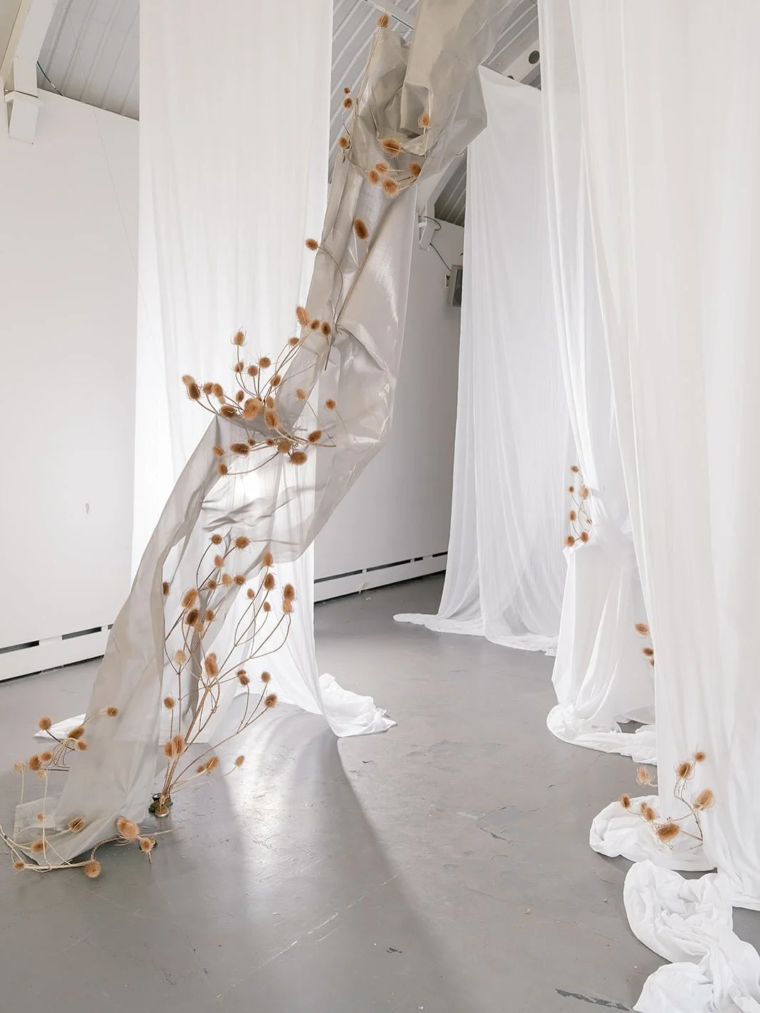 Honestly I just don&rsquo;t understand what holds me back from posting my work sometimes and this set of images is a case in point. 

How they have sat on my phone for so long is beyond me.

So here we are on day 5 of my self imposed challenge: A scu