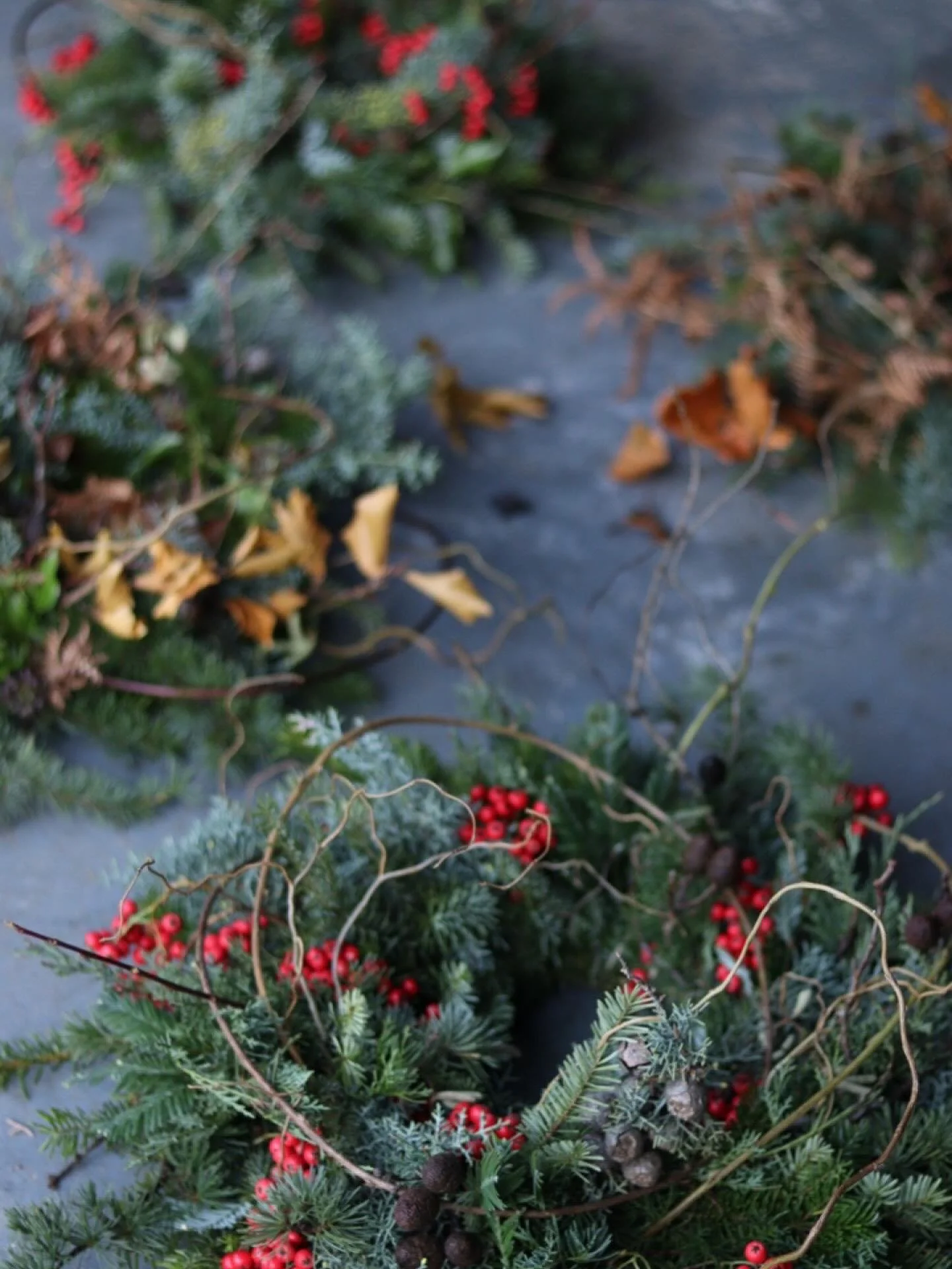 Oh look. Some wreaths.

Honestly, you&rsquo;d think after ten years I&rsquo;d be over them now. And I was. For a while. 

And then I took a fallow year. Had some couples therapy in the studio. And rediscovered the spark. 

I love them. 

If you want 