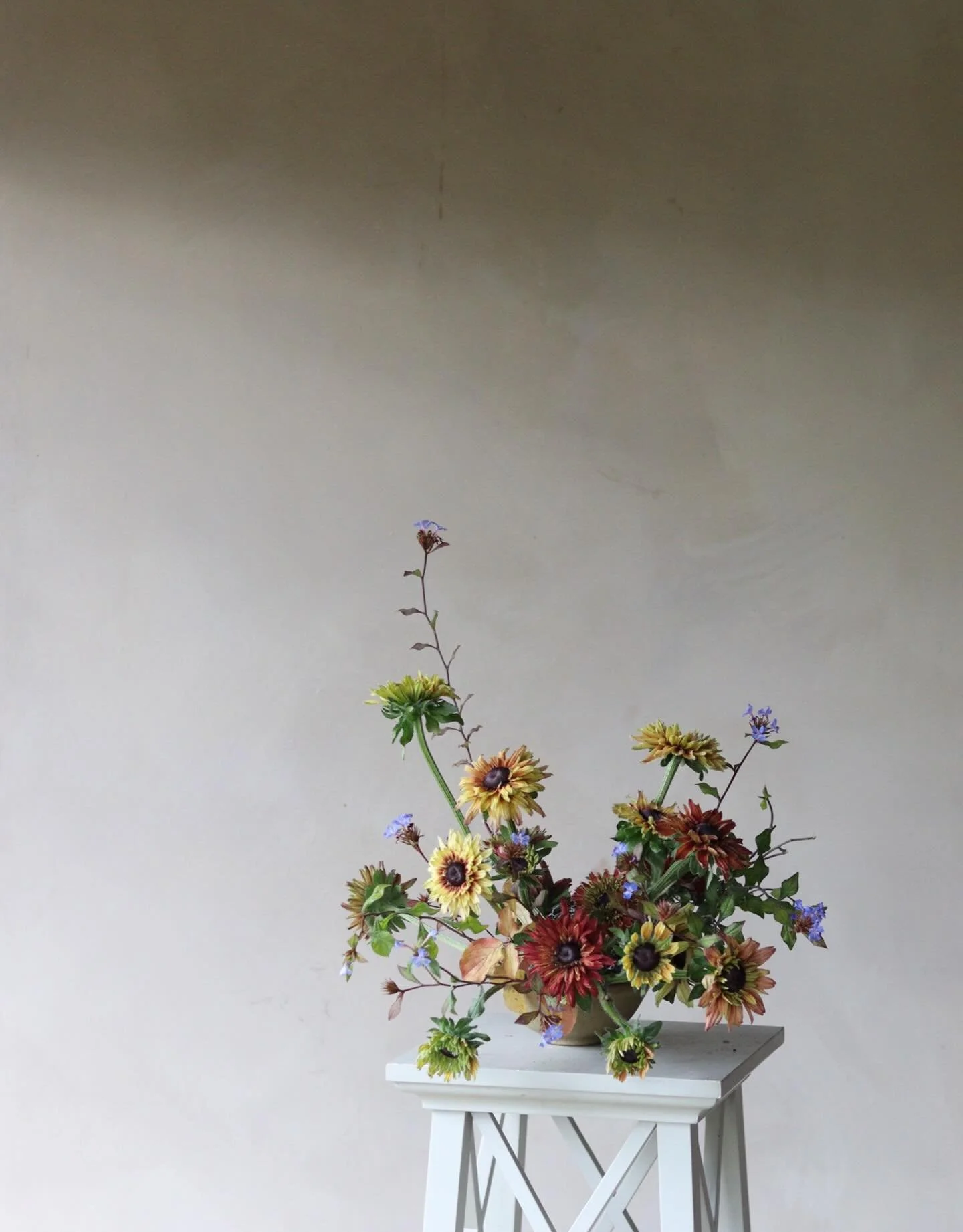 Rudbeckia and plumbago.

November flowers. 

#seasonledfloristry #november #attheuntamededge