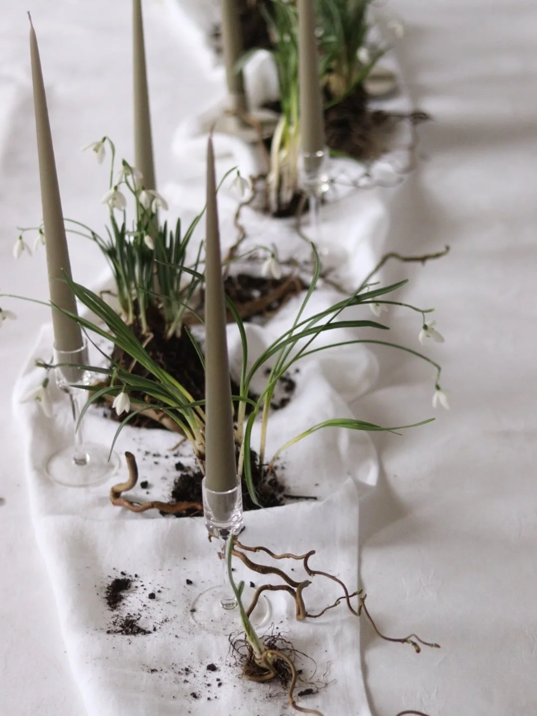 How long do we have to wait for the snowdrops&hellip;?! I think I&rsquo;m ready now&hellip;