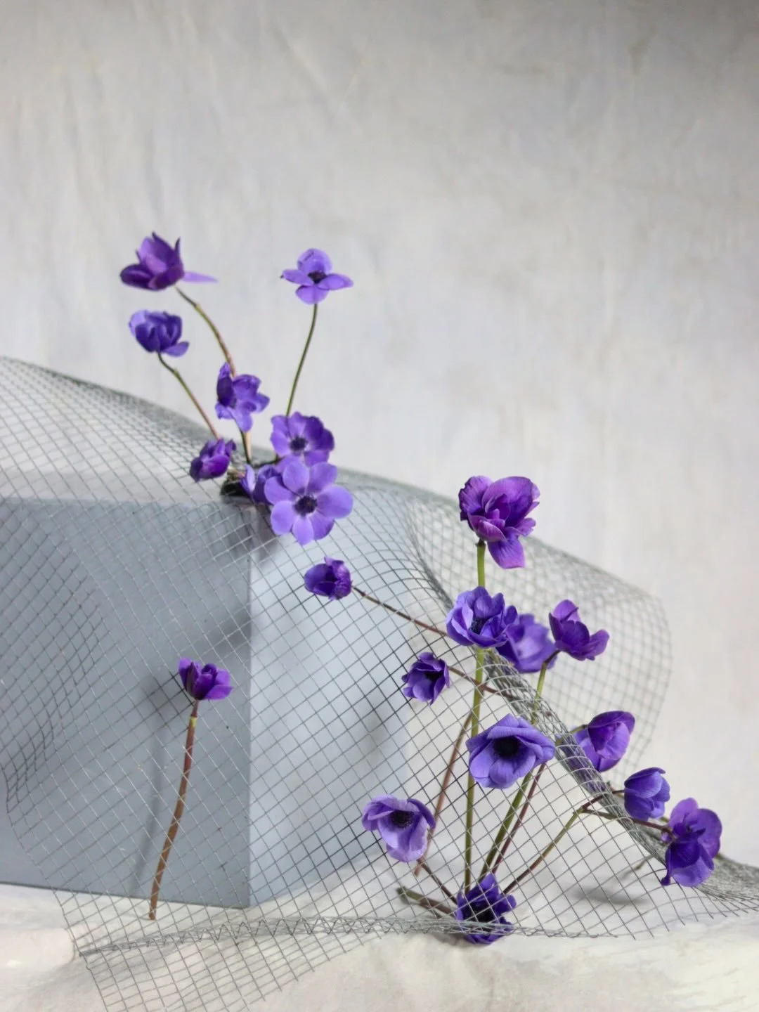 Apparently it&rsquo;s blue Monday. I don&rsquo;t actually pay the blindest bit of notice to that, but it was an excellent excuse to share some blue flowers which have sat on my phone for almost a year. 

From a one to one with @willowbridge_designs w