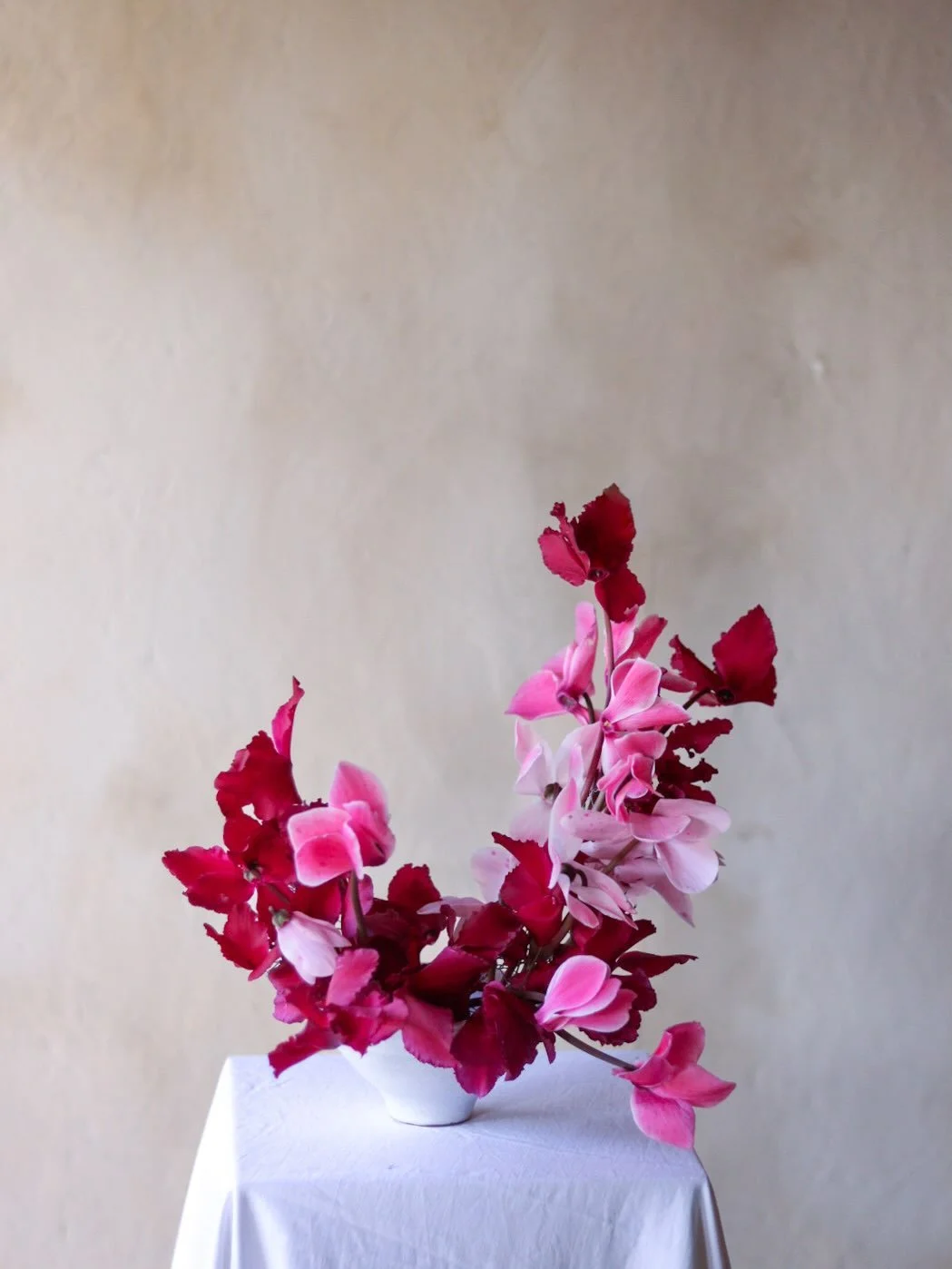Continuing my obsession with red and pink. 

A couple of bits of fake news to address here:

- I can&rsquo;t claim these are valentines flowers because I made this a few weeks ago, and while the plants are still offering me flowers, it really is the 