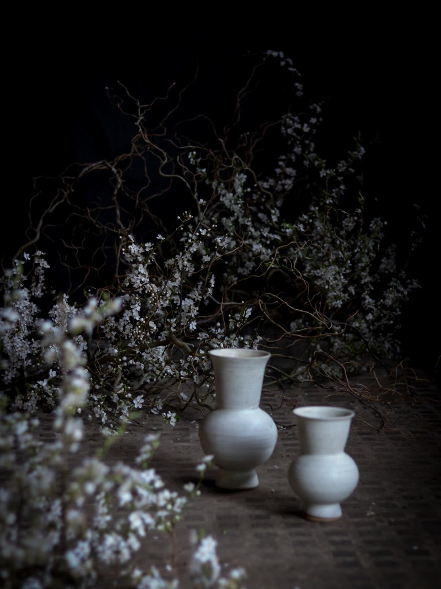 Not really sure what @willowbridge_designs and I were creating when we let ourselves loose in the studio with the blossom, but the sharp lines of these @foredays The Perfect Vases gave me all the joy against the organic swirl of the blossom and willo