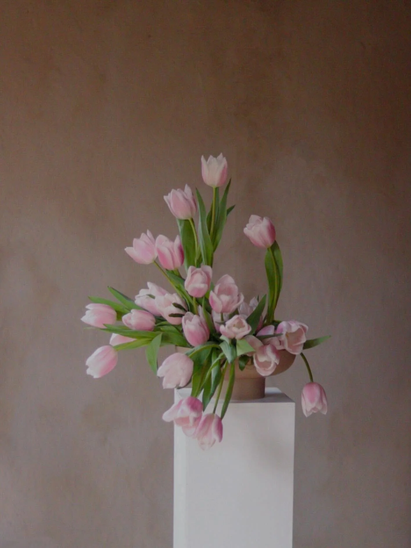 More of those beautiful tulips from @flourishproduce 

#seasonledfloristry #tulip #floraldesign #cambridgeflorist #attheuntamededge