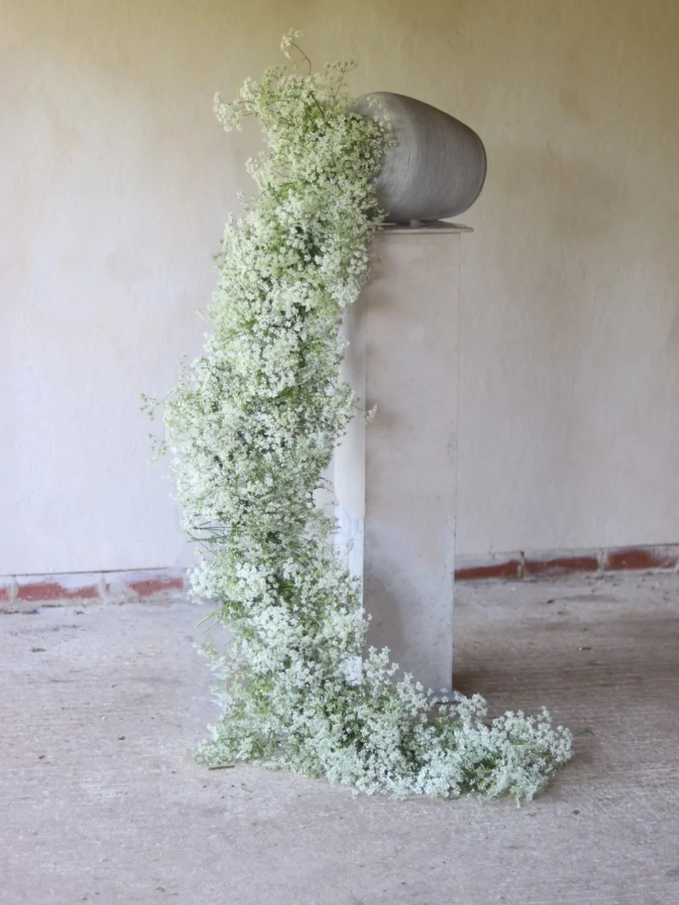 Feeling slightly anxious that I have been too busy to appreciate cow parsley season properly this year&hellip;.