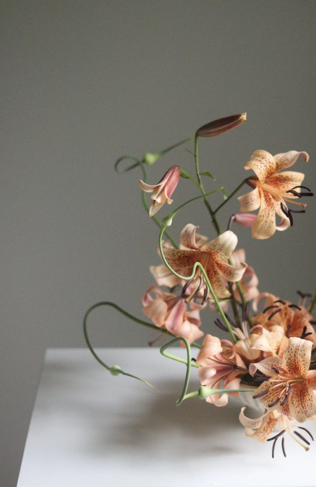 Cissy Lily & Alliums 1.jpg
